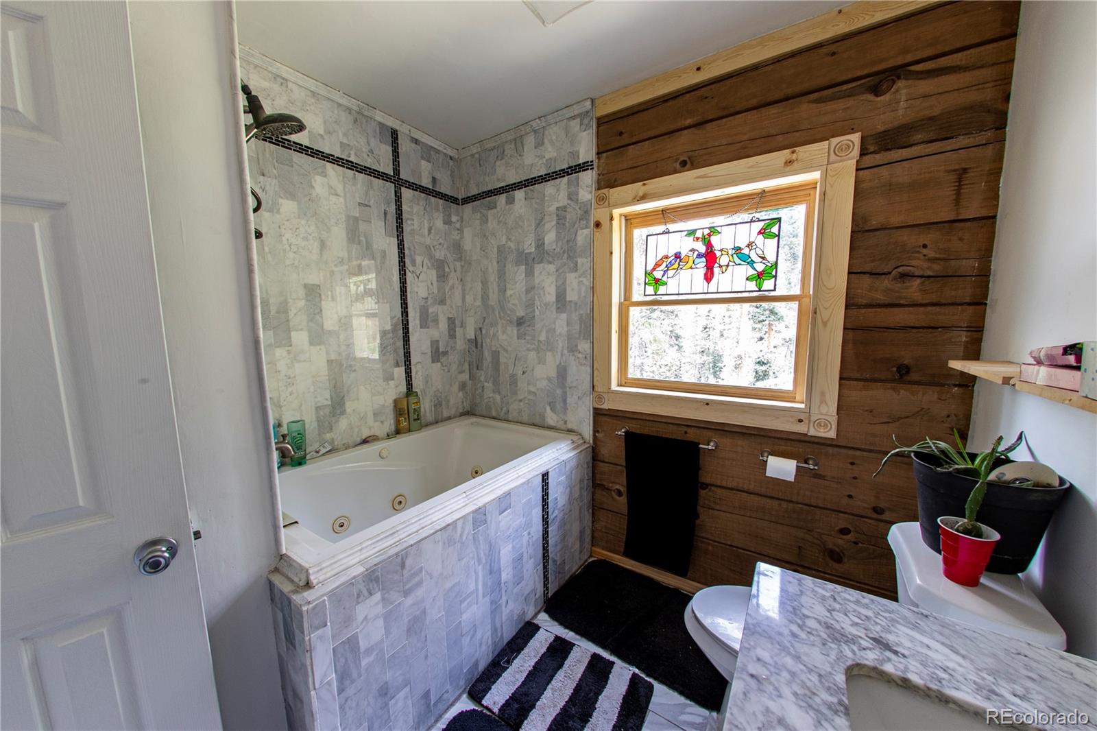 MLS Image #13 for 483  bullion mine road,dillon, Colorado
