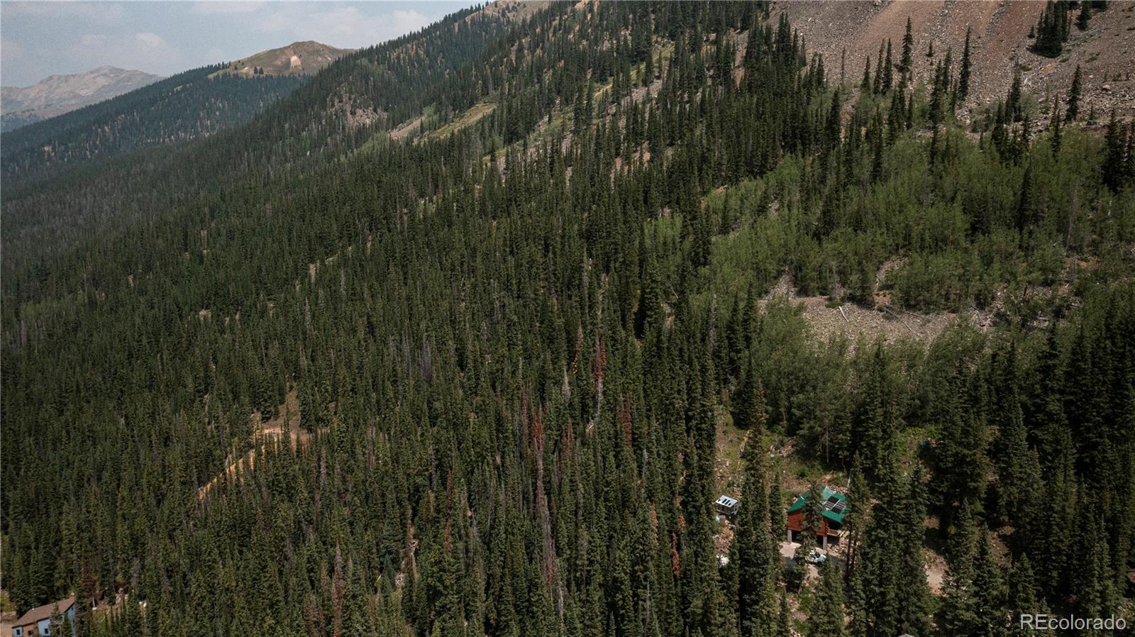 MLS Image #3 for 483  bullion mine road,dillon, Colorado
