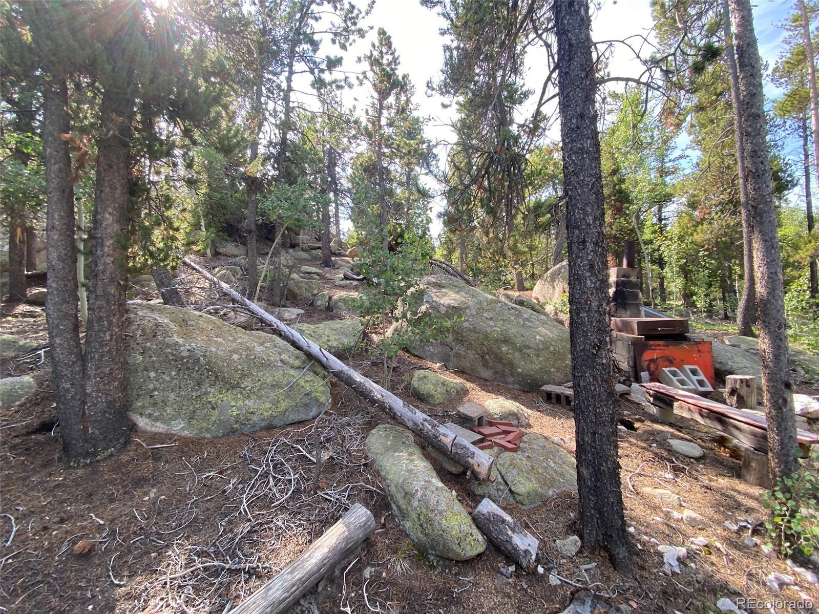 MLS Image #16 for 1171  rudi lane,golden, Colorado