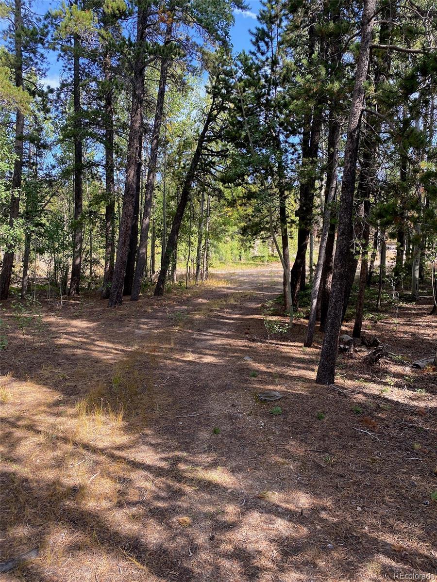 MLS Image #23 for 1171  rudi lane,golden, Colorado