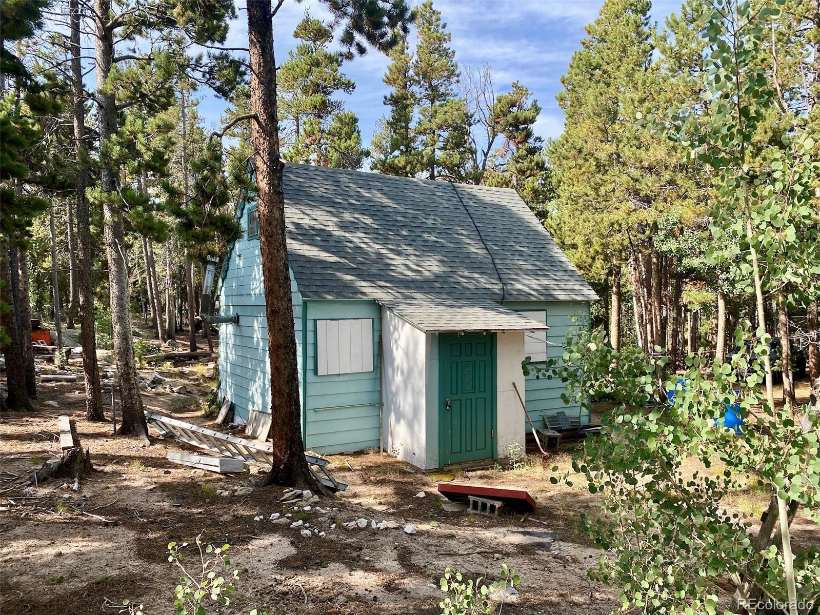 MLS Image #9 for 1171  rudi lane,golden, Colorado