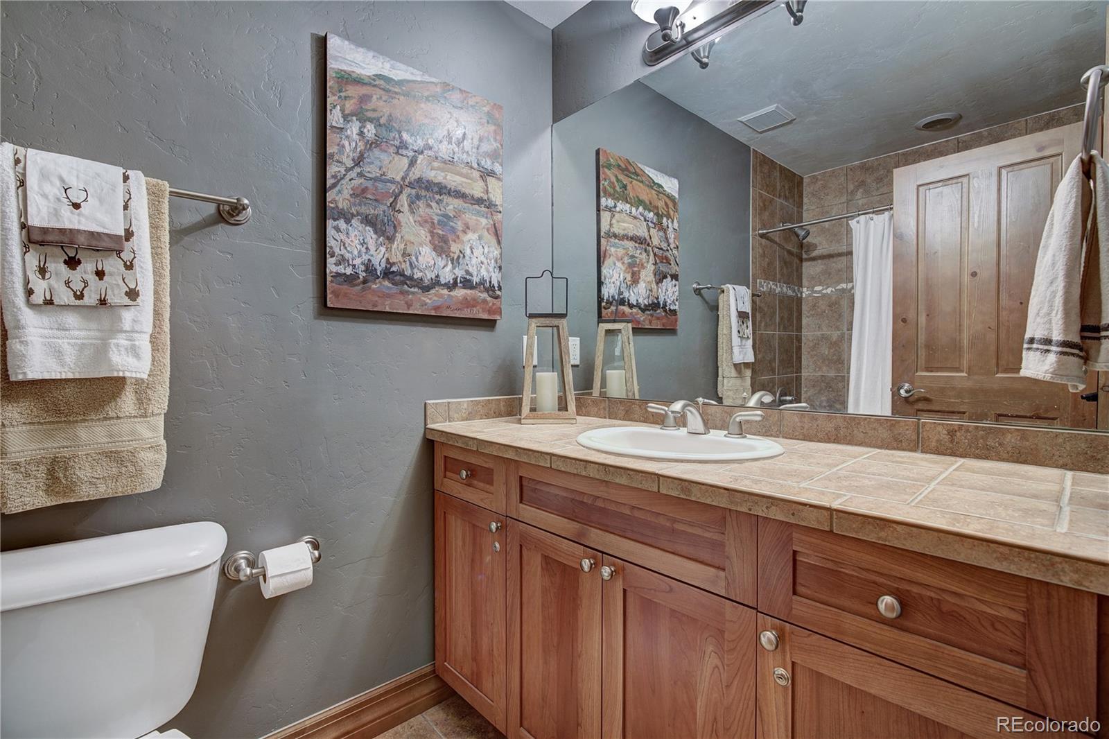 MLS Image #19 for 82  linden lane,breckenridge, Colorado