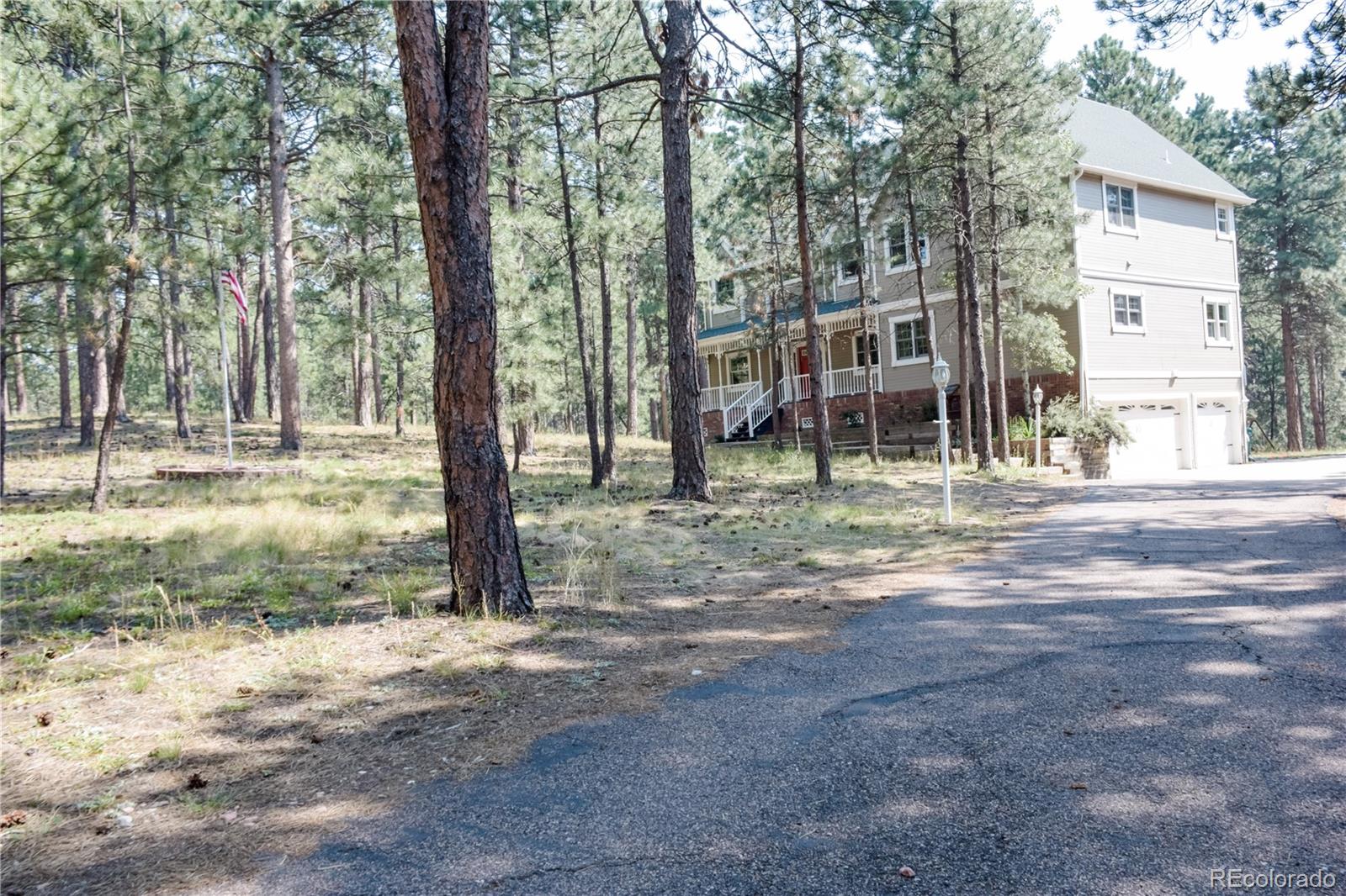 MLS Image #2 for 18580  arrowwood drive,monument, Colorado