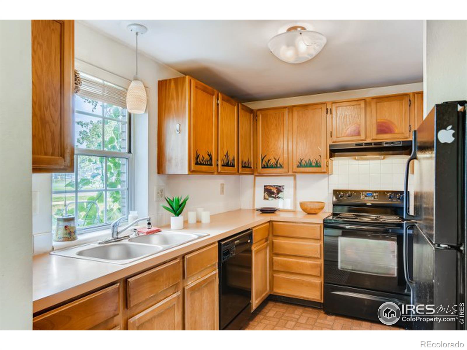 MLS Image #3 for 2828  silverplume drive,fort collins, Colorado