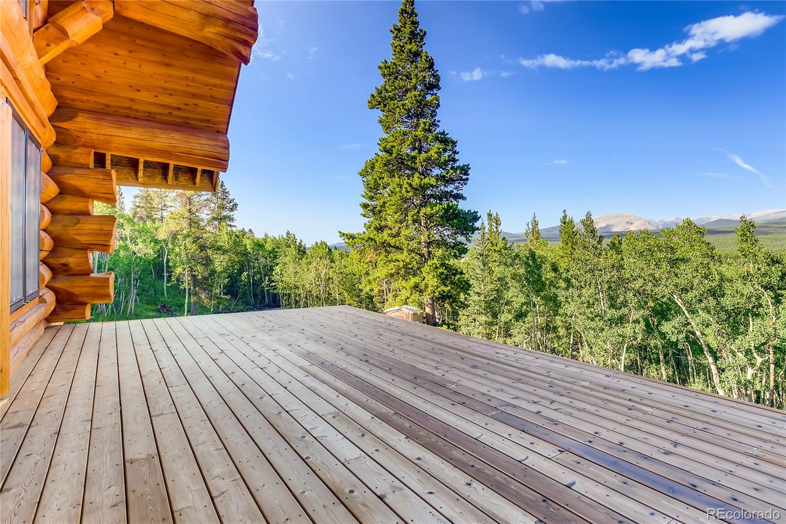 MLS Image #12 for 709  glacier ridge road,alma, Colorado