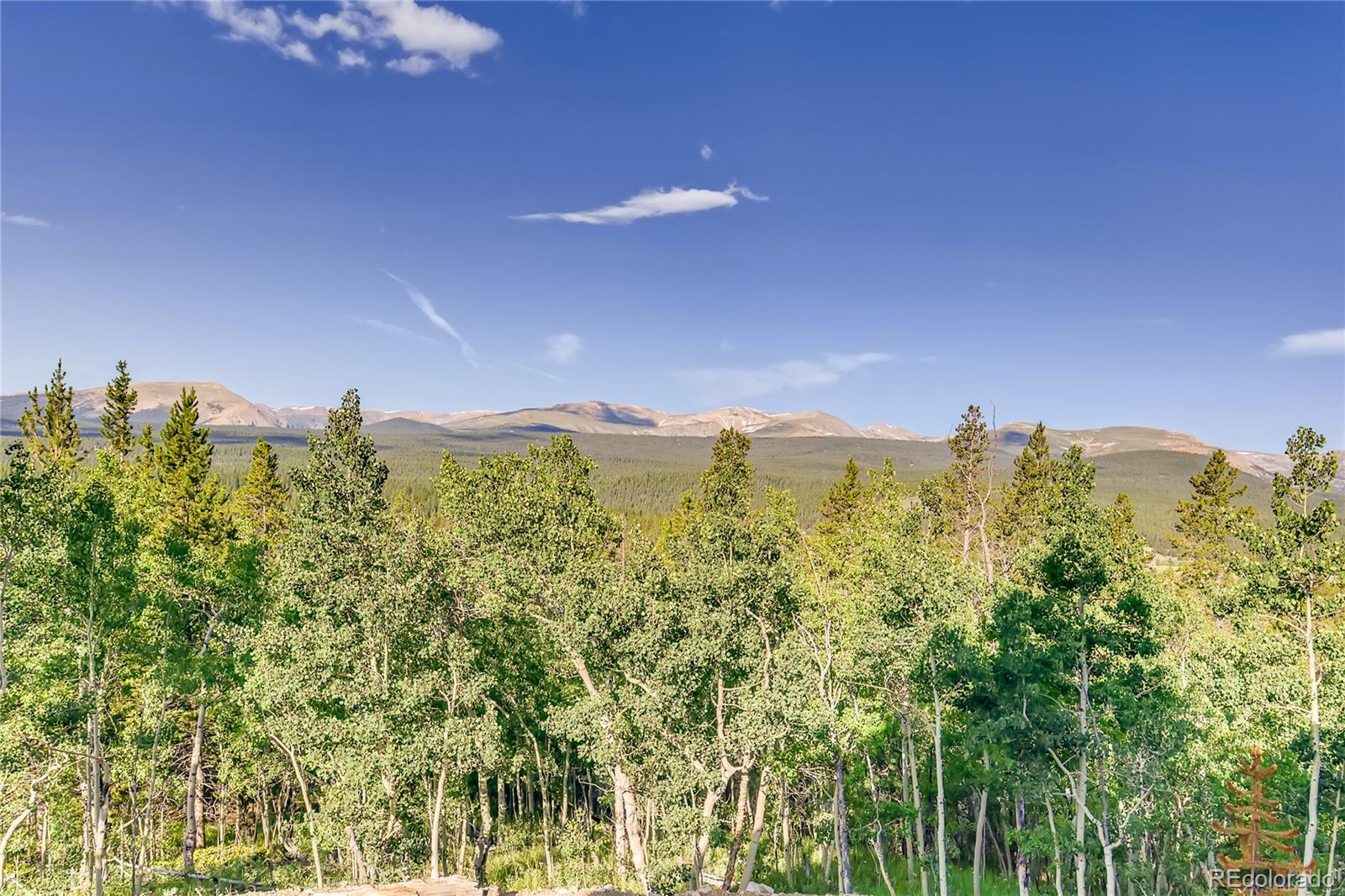 MLS Image #15 for 709  glacier ridge road,alma, Colorado