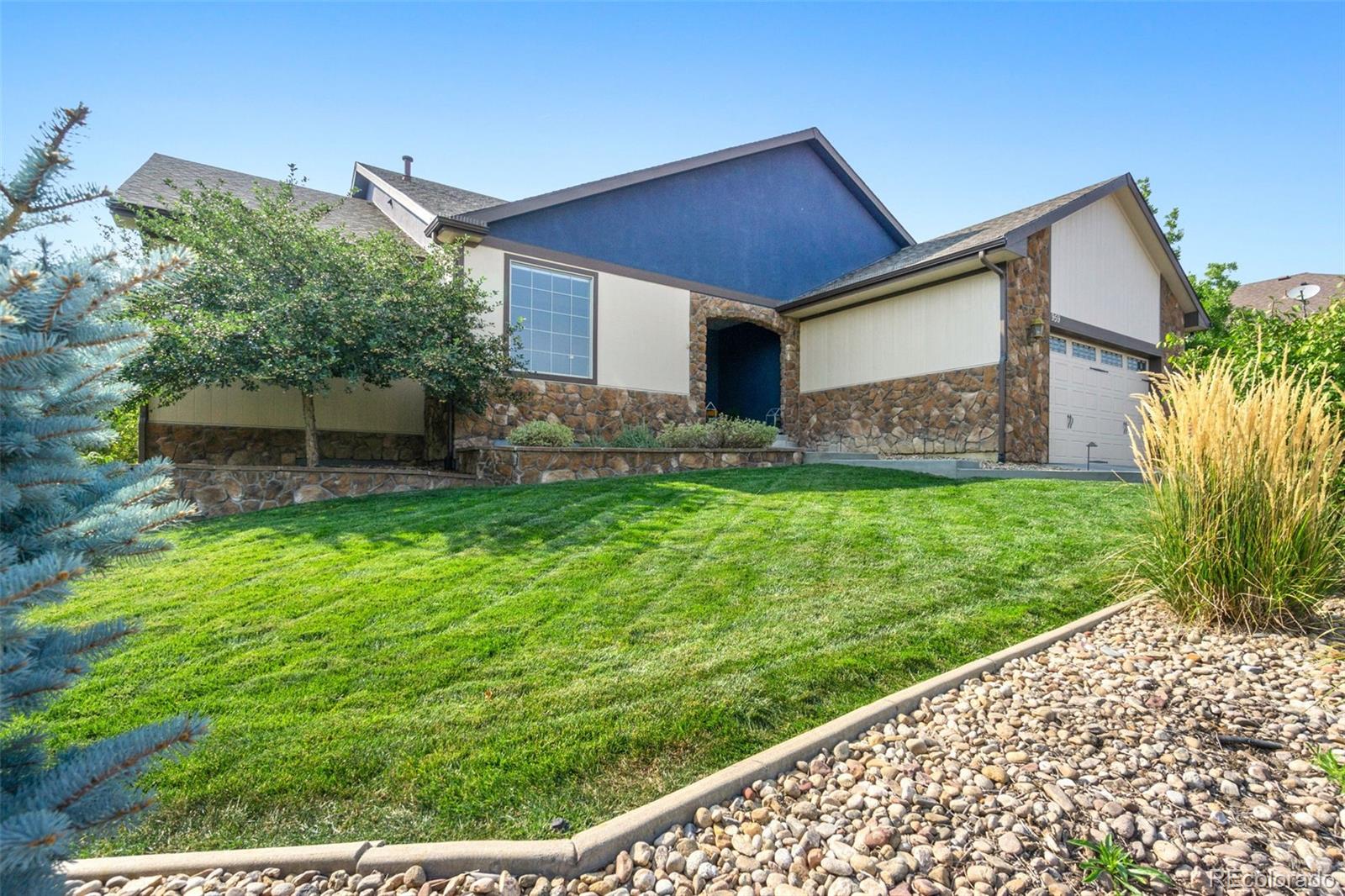 Report Image for 959  Arbutus Court,Lakewood, Colorado