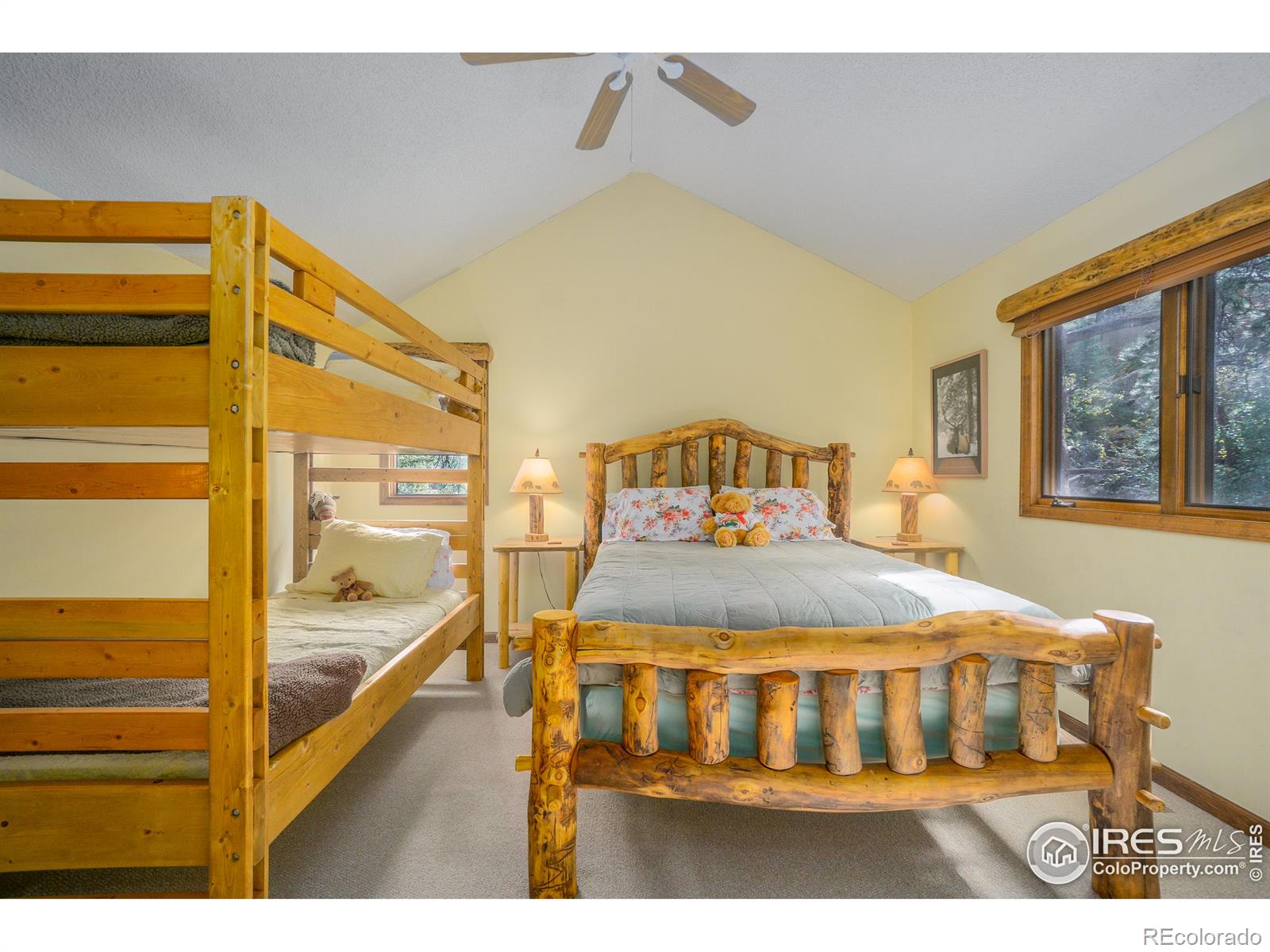MLS Image #23 for 2328  aspen brook drive,estes park, Colorado