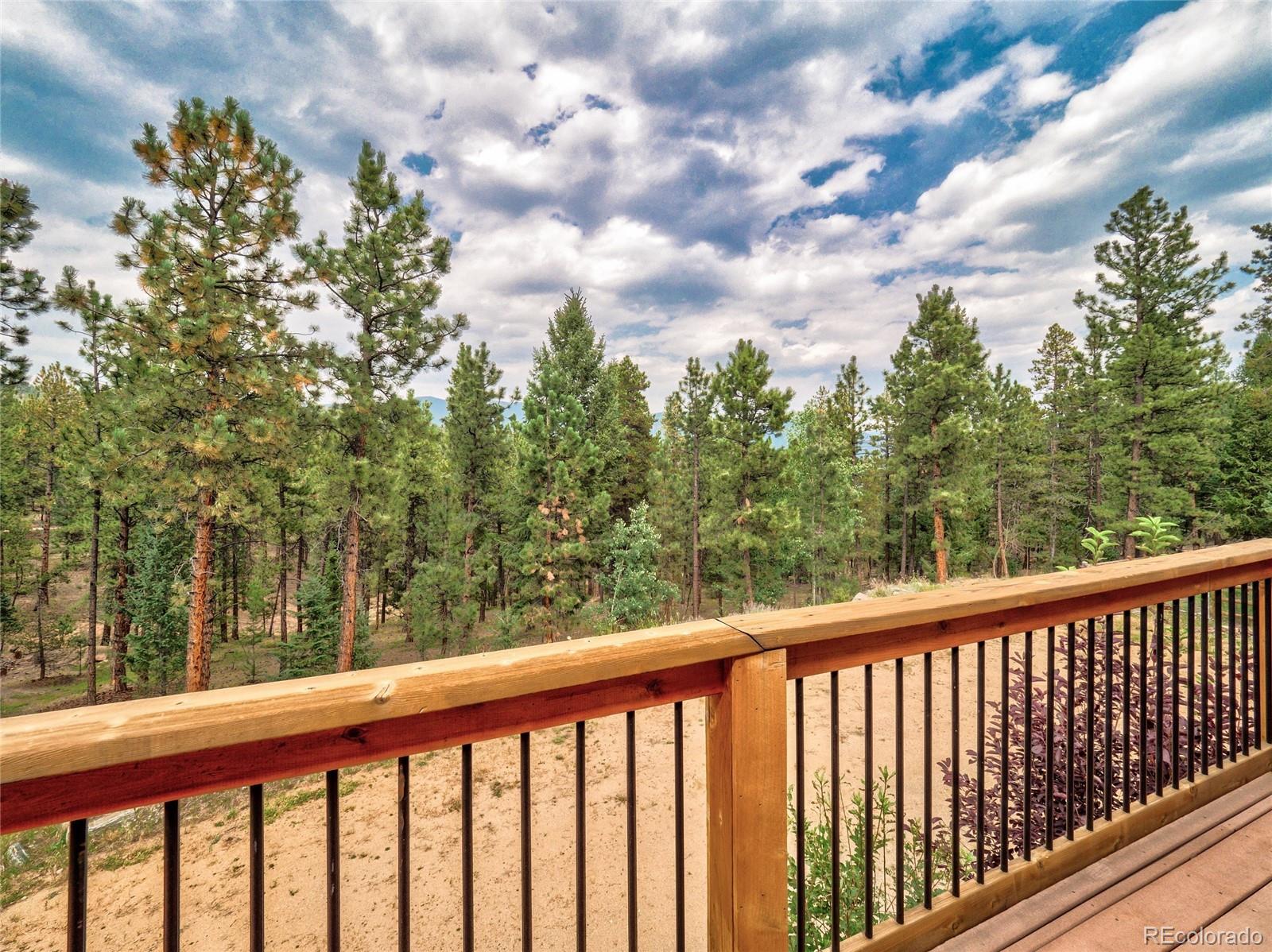 MLS Image #29 for 858  forest drive,bailey, Colorado