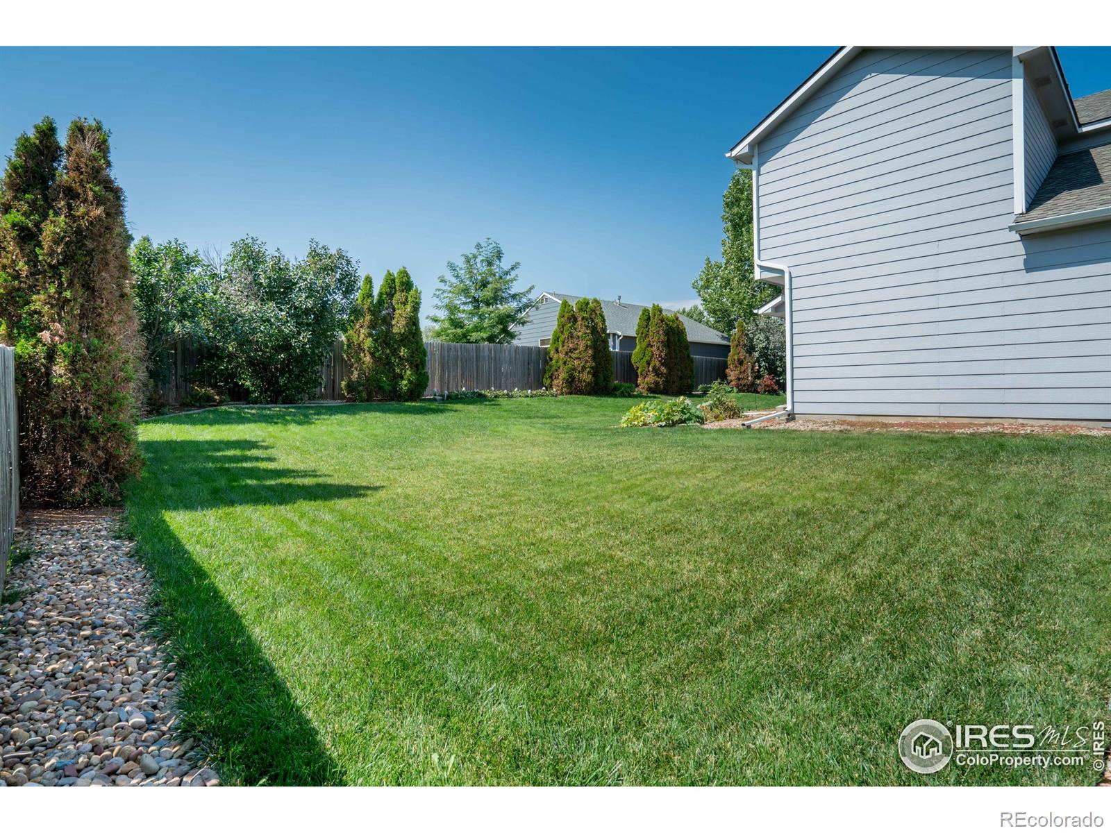 MLS Image #7 for 631  olympia avenue,longmont, Colorado