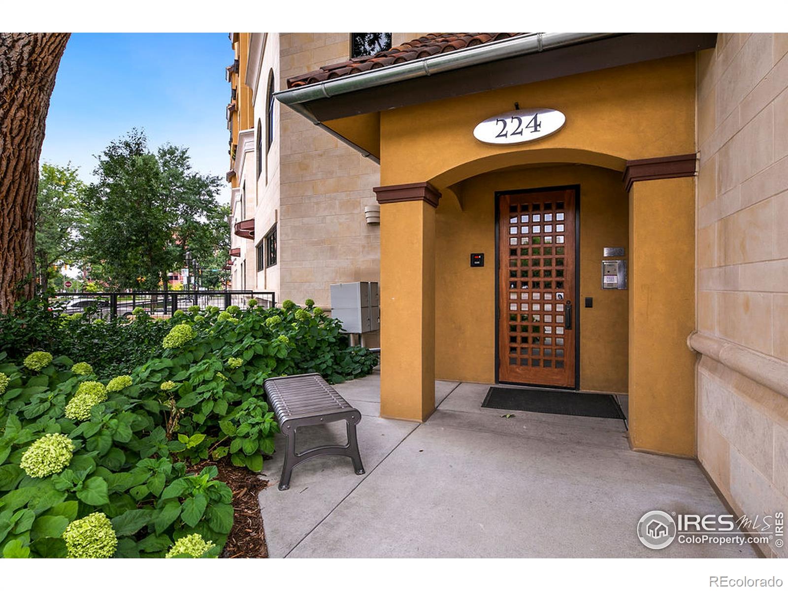 MLS Image #3 for 224  canyon avenue,fort collins, Colorado