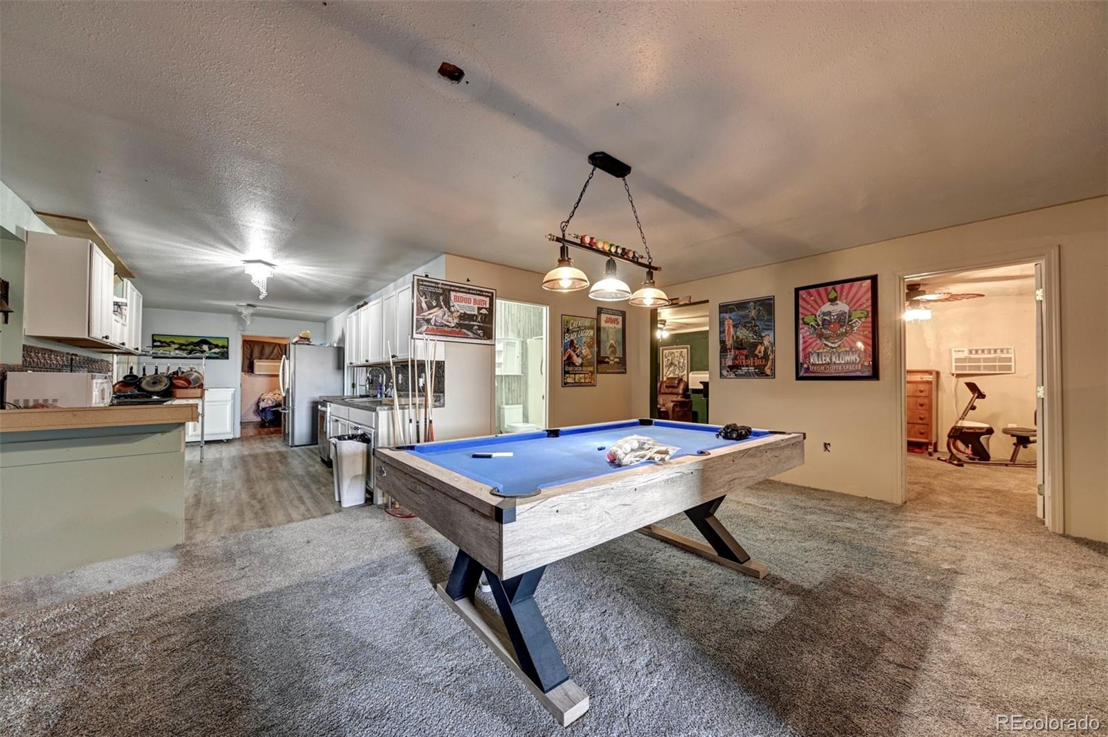 MLS Image #9 for 33430  truckton road,yoder, Colorado