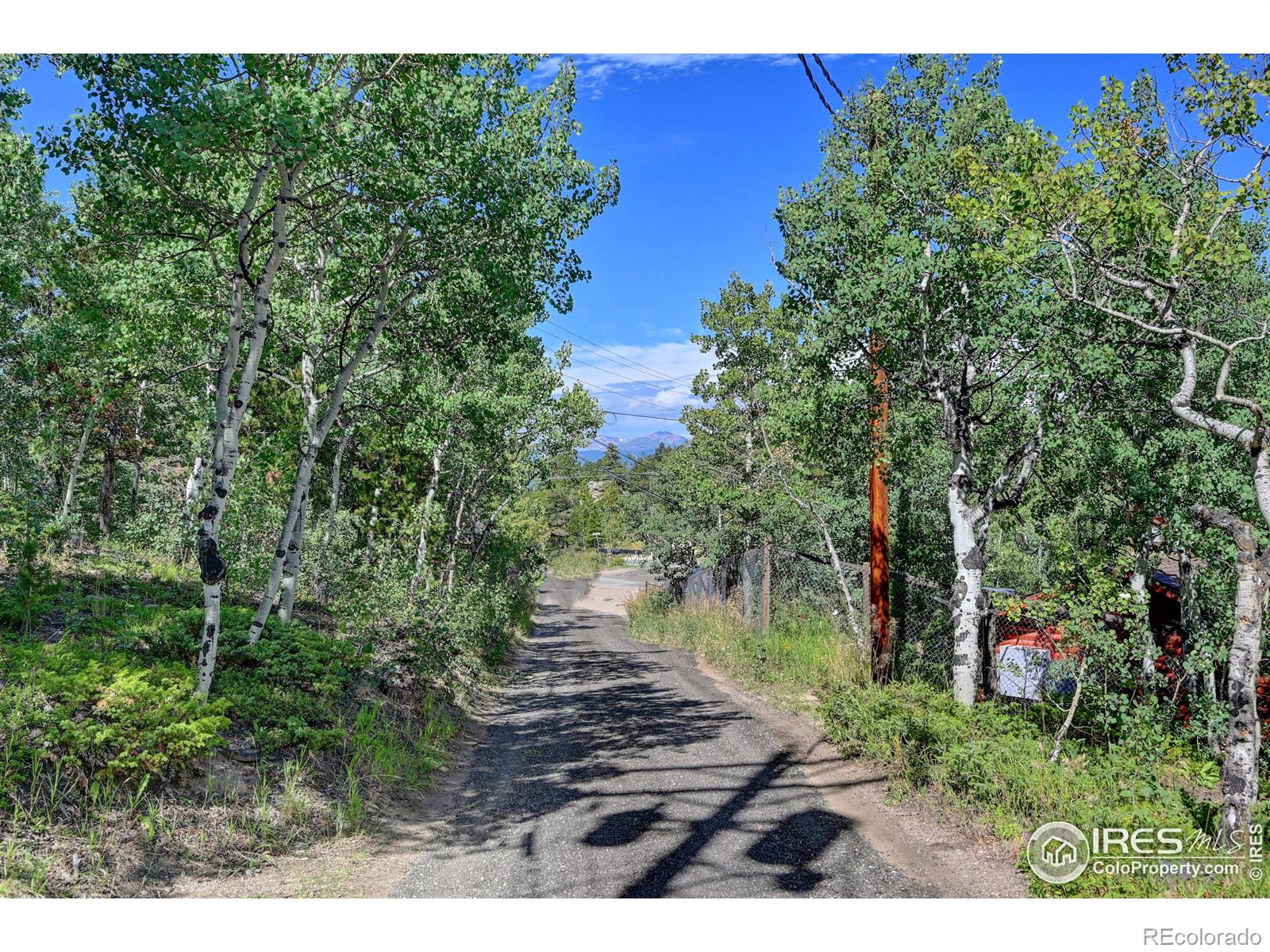 MLS Image #4 for 32  hardscrabble road,golden, Colorado