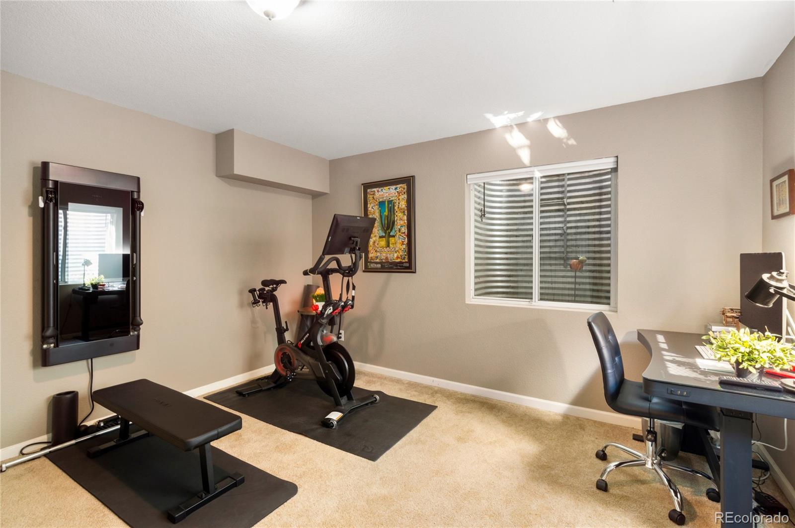 MLS Image #14 for 5482  balsam court,arvada, Colorado