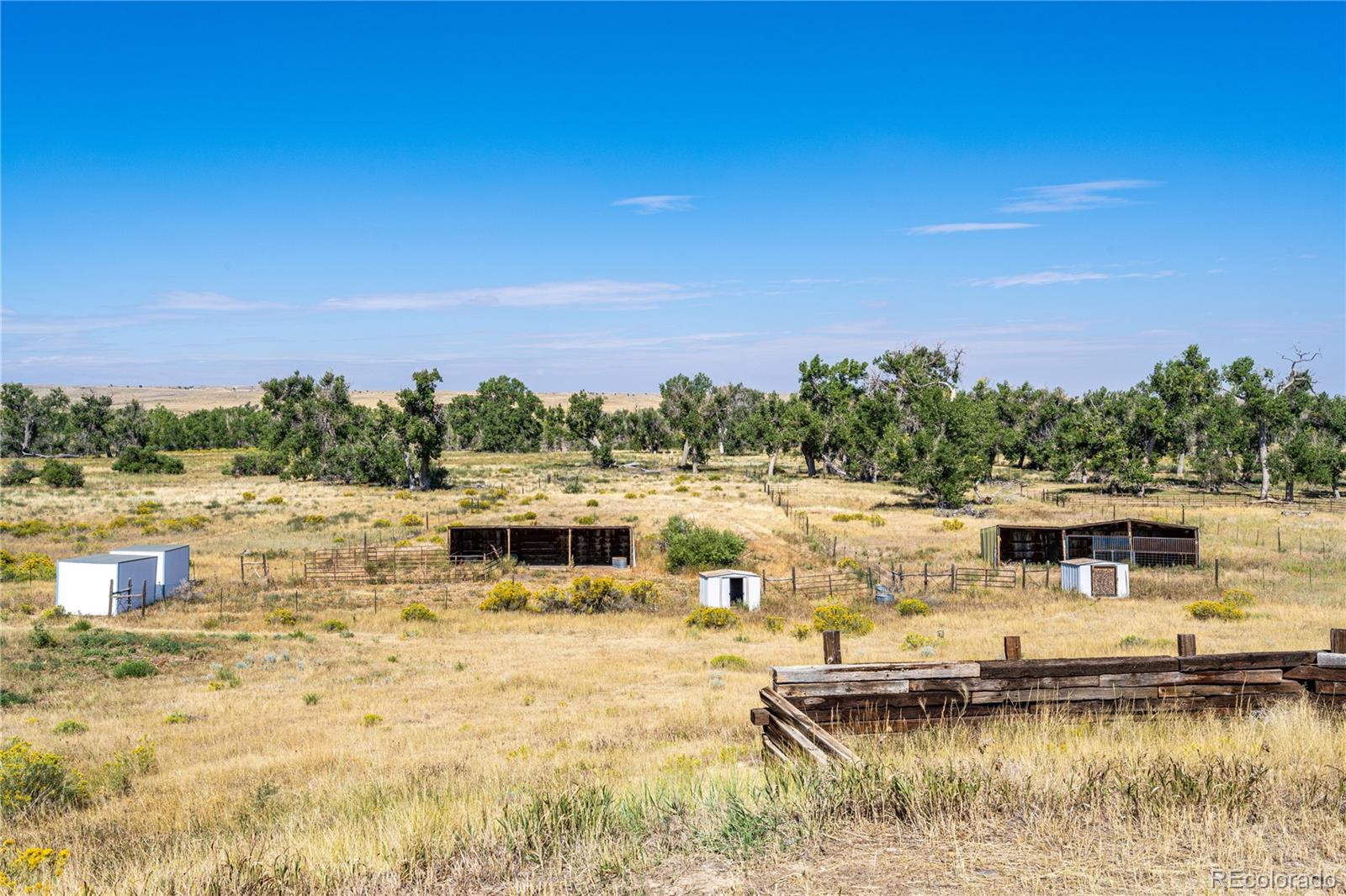MLS Image #23 for 41405  way of goodness ,deer trail, Colorado