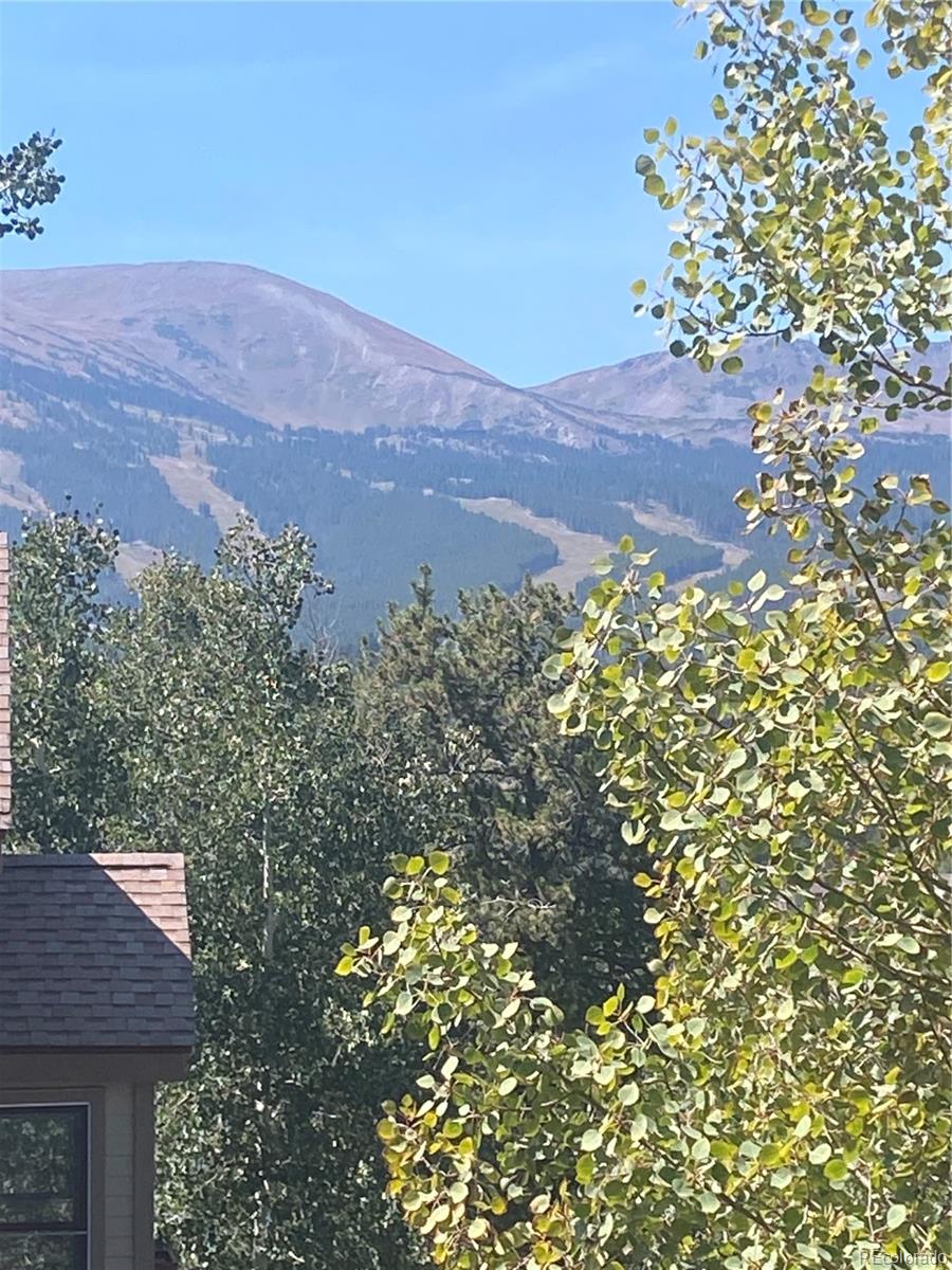 MLS Image #0 for 227 s highland terrace,breckenridge, Colorado