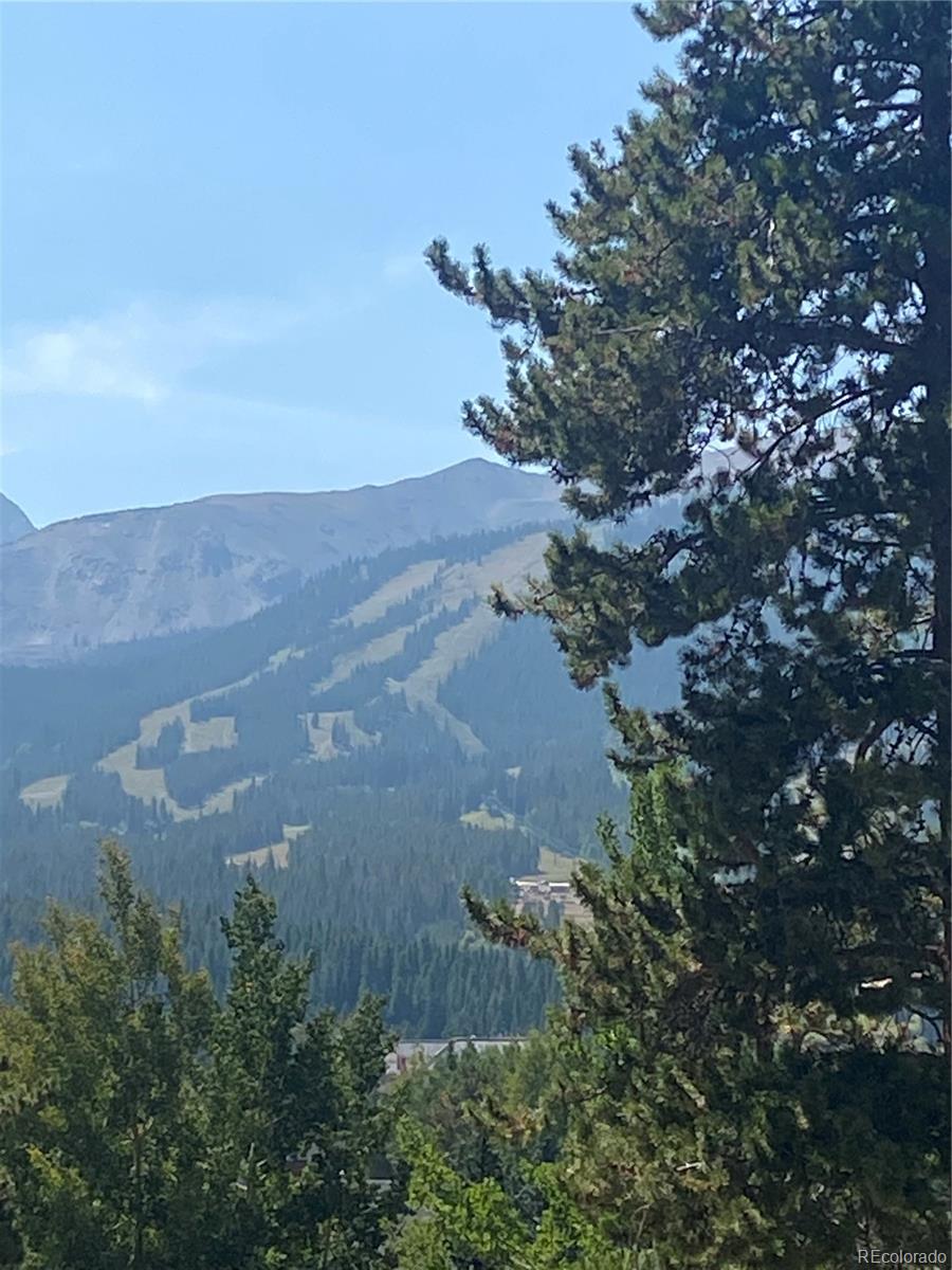 Report Image for 227 S Highland Terrace,Breckenridge, Colorado