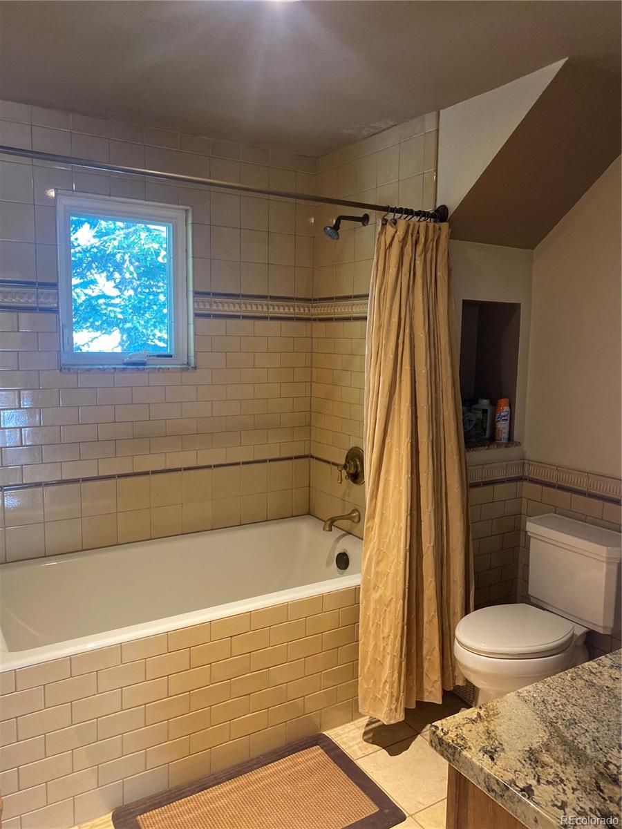 MLS Image #11 for 227 s highland terrace,breckenridge, Colorado