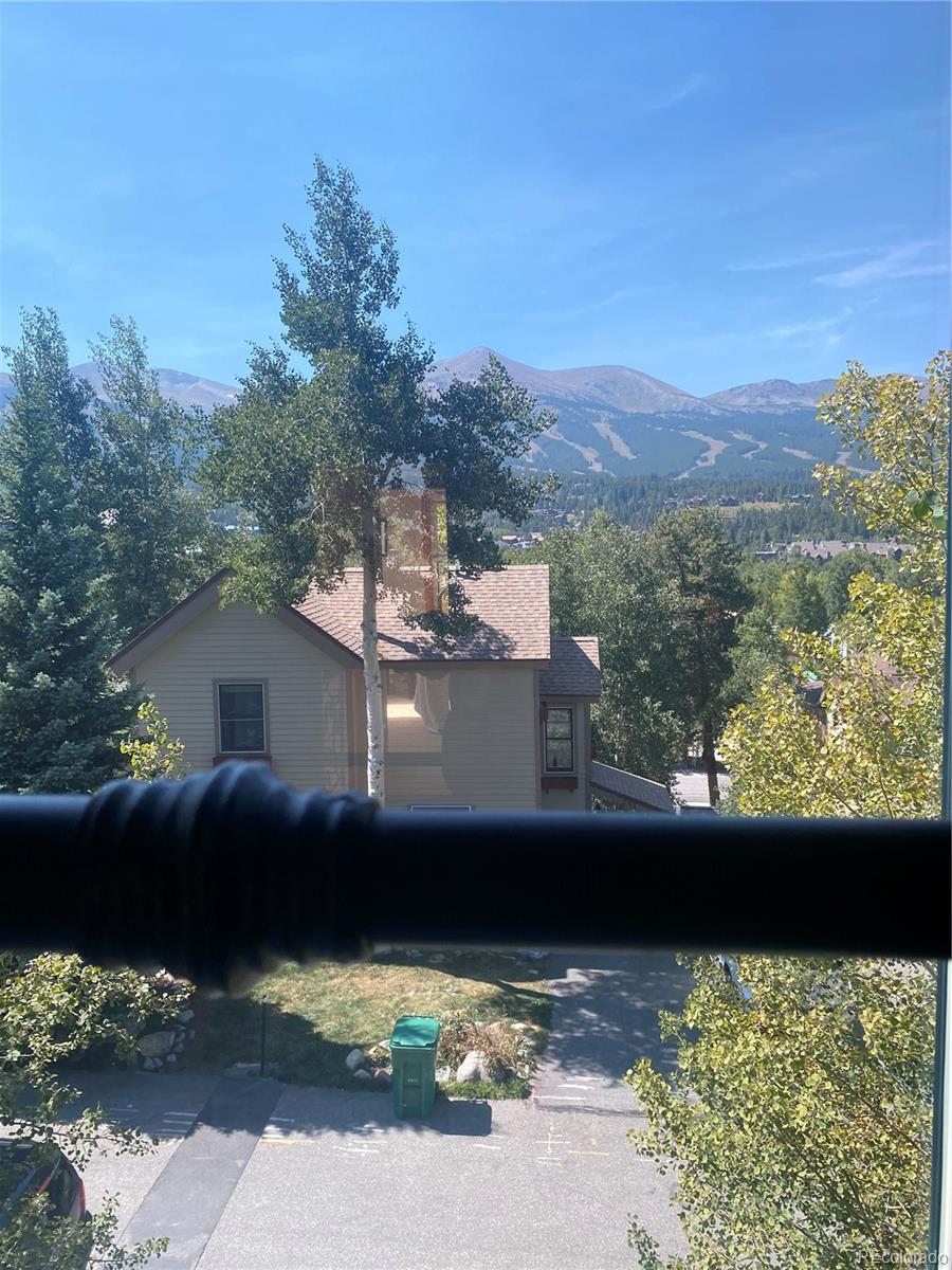 MLS Image #13 for 227 s highland terrace,breckenridge, Colorado