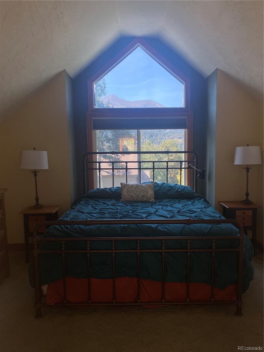 MLS Image #14 for 227 s highland terrace,breckenridge, Colorado