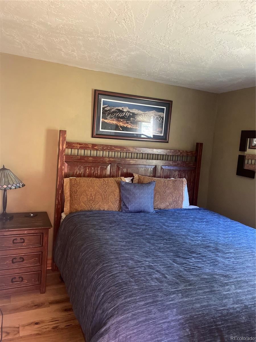 MLS Image #6 for 227 s highland terrace,breckenridge, Colorado