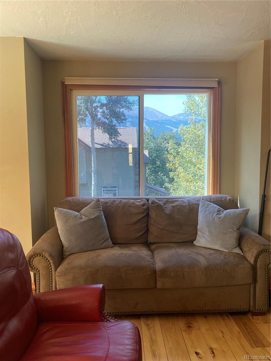 MLS Image #9 for 227 s highland terrace,breckenridge, Colorado
