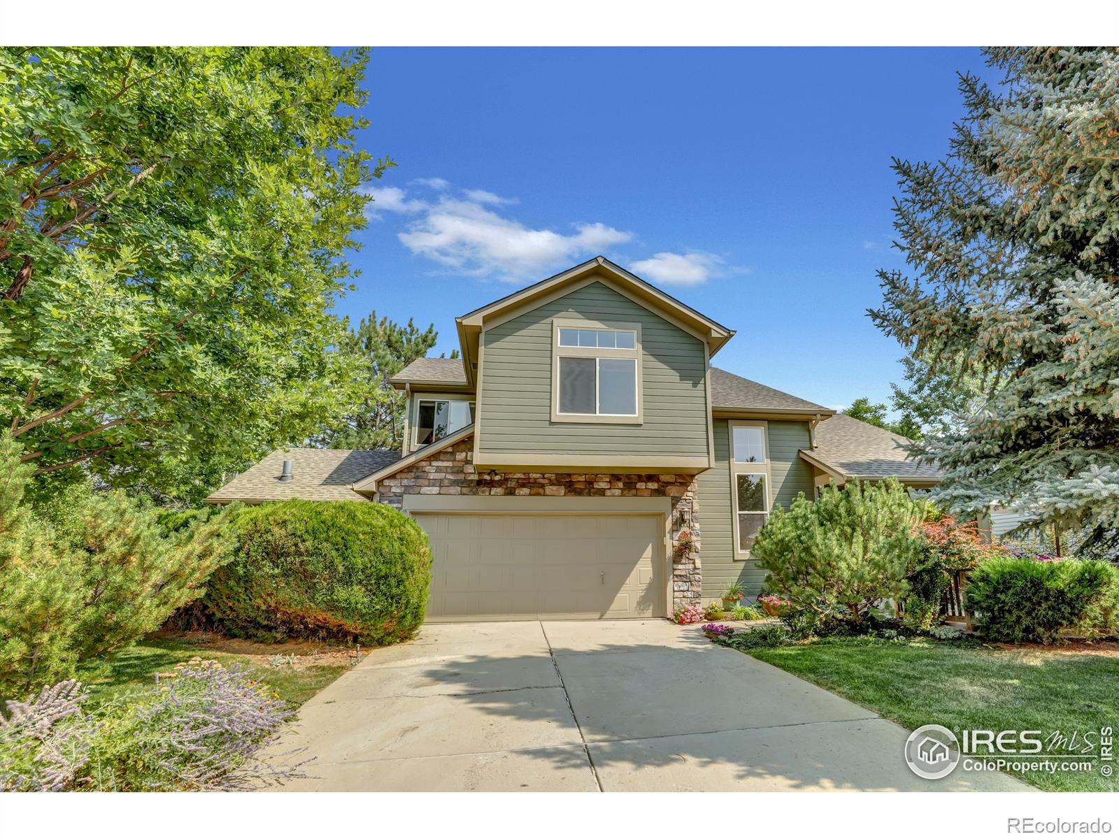 MLS Image #0 for 4000  hawthorne circle,longmont, Colorado