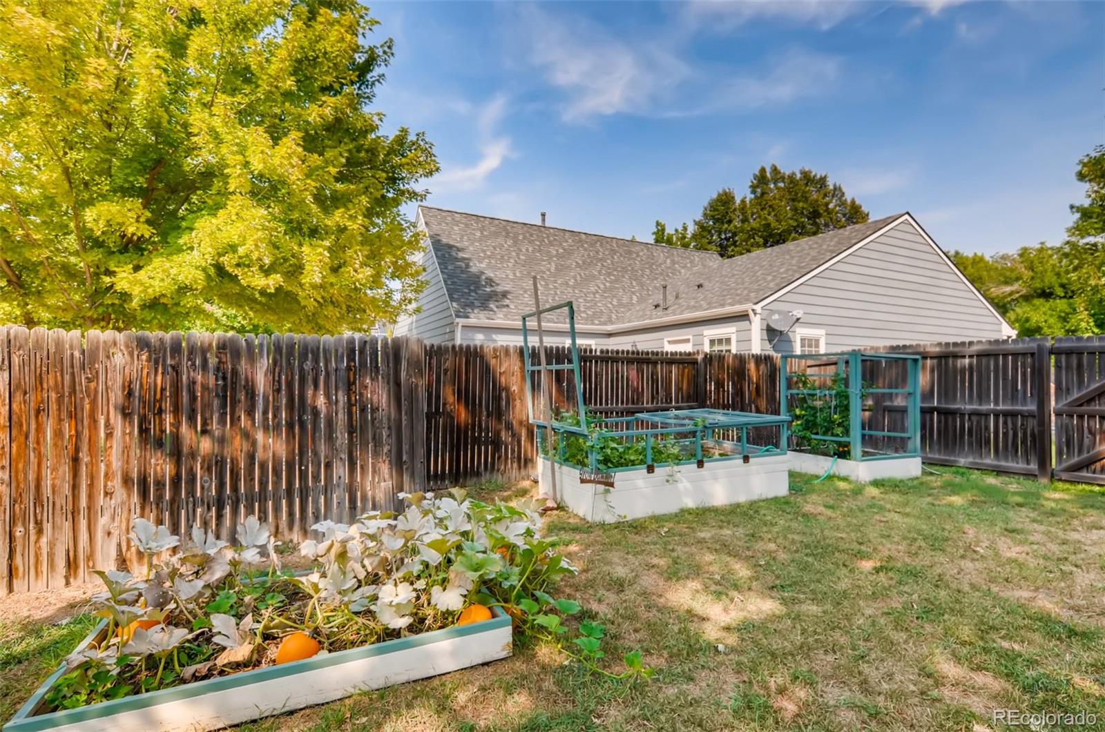 MLS Image #27 for 6313  marshall street,arvada, Colorado