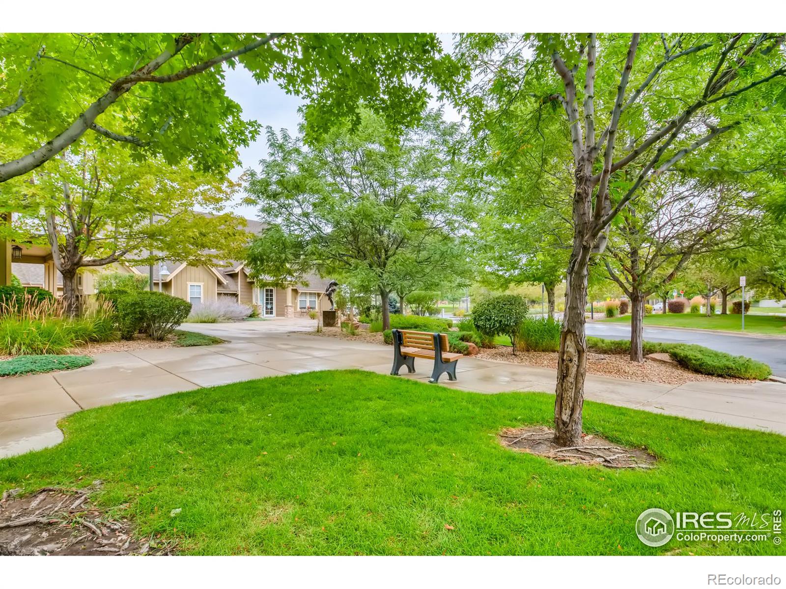 MLS Image #24 for 13900  lake song lane,broomfield, Colorado