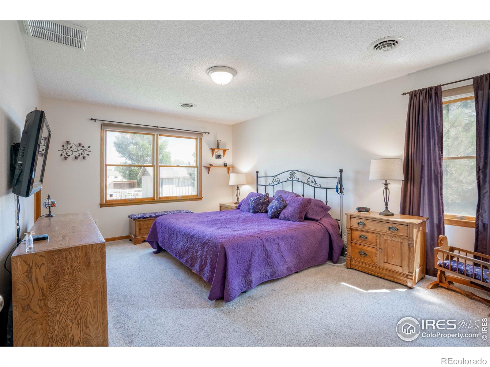 MLS Image #14 for 14484  elizabeth court,brighton, Colorado