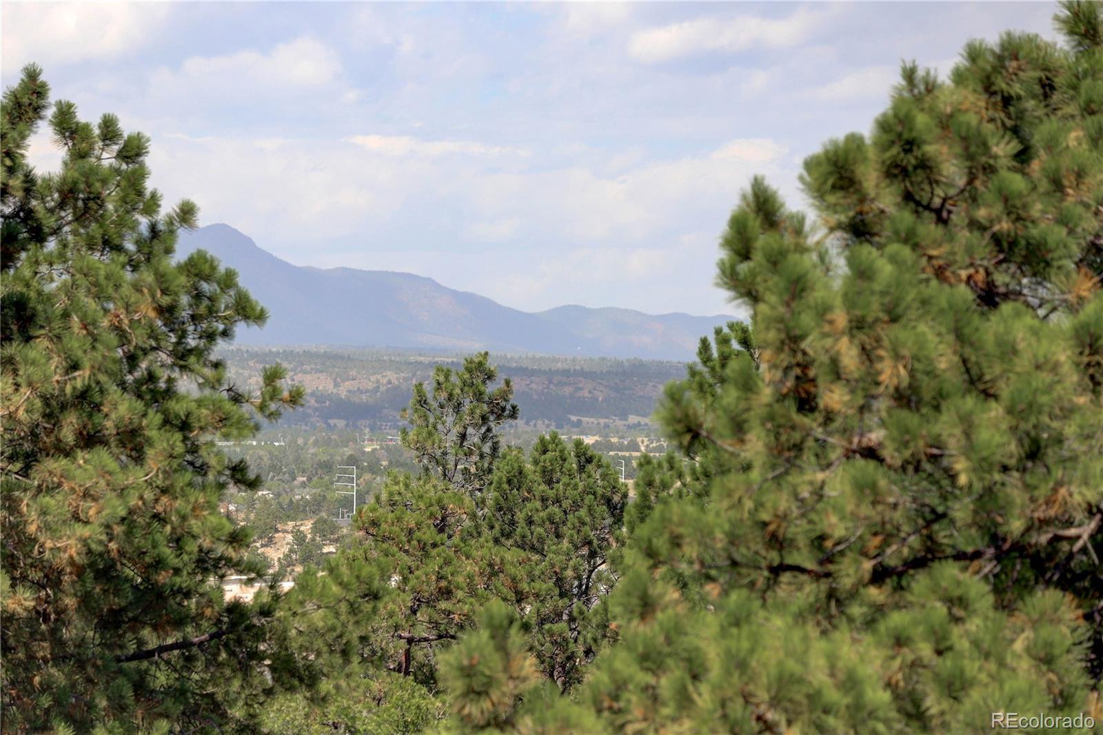 MLS Image #13 for 1440  rock ridge court,colorado springs, Colorado