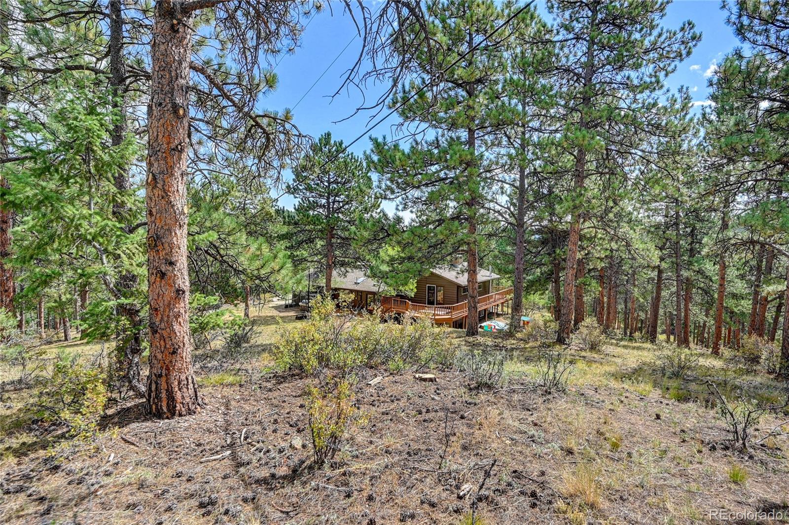 MLS Image #28 for 2013  swede gulch road,evergreen, Colorado