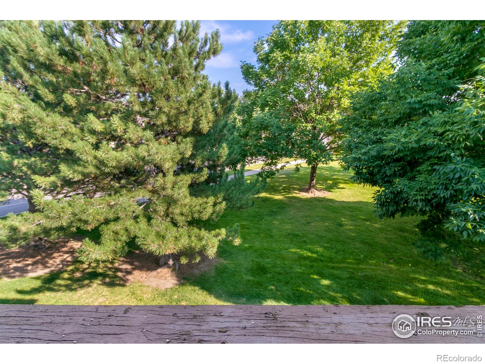 MLS Image #16 for 4545  wheaton drive,fort collins, Colorado