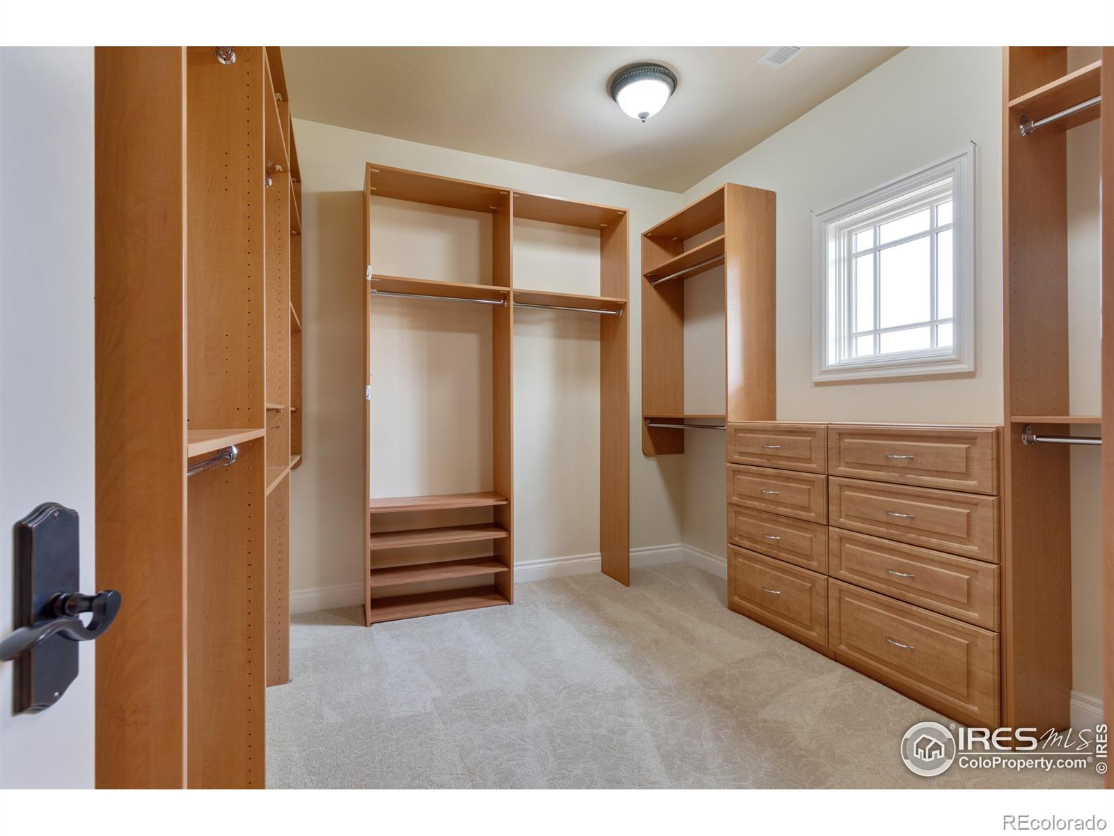 MLS Image #22 for 13147  woodridge drive,longmont, Colorado
