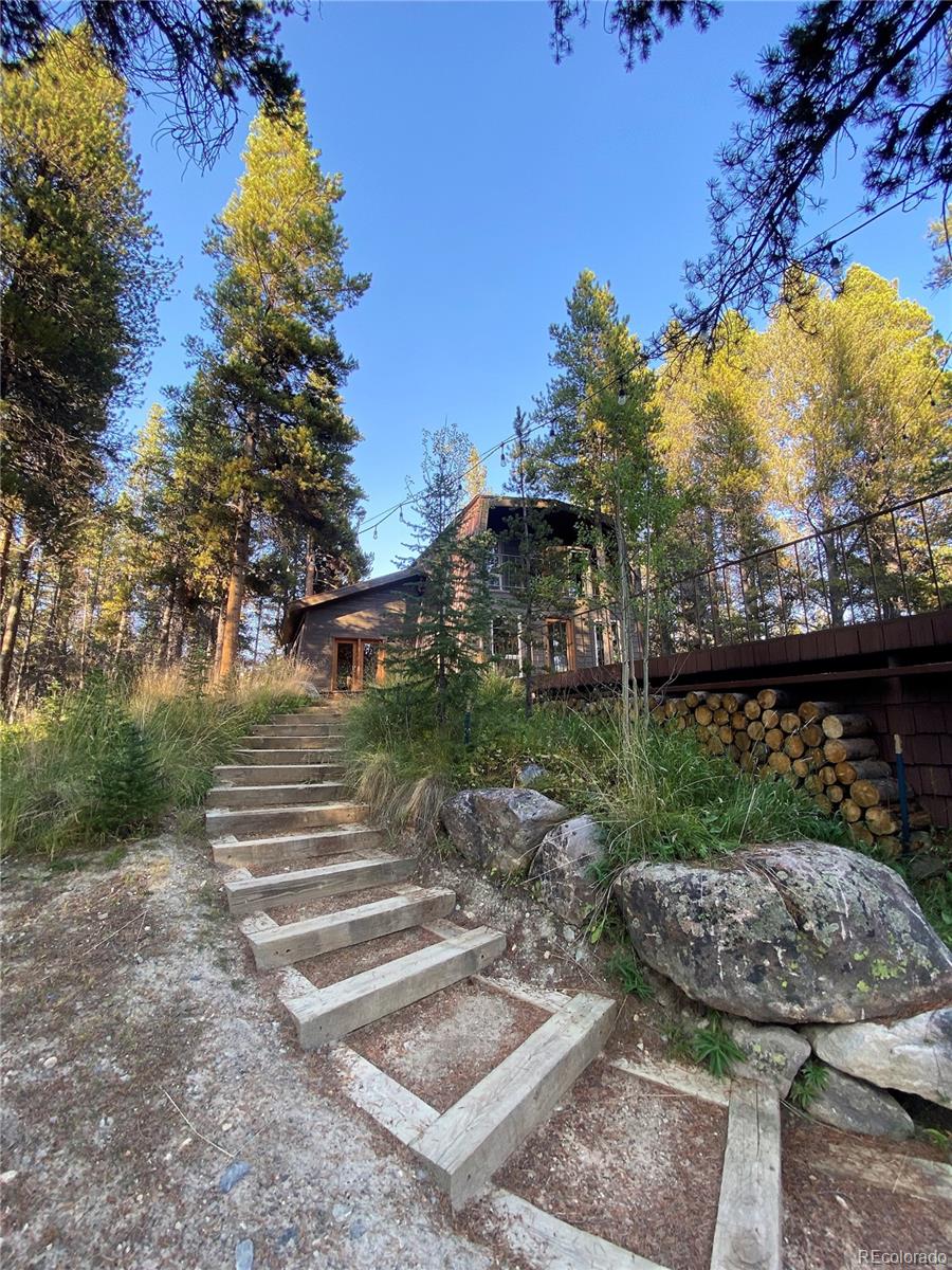 MLS Image #1 for 360  deer crossing drive,leadville, Colorado
