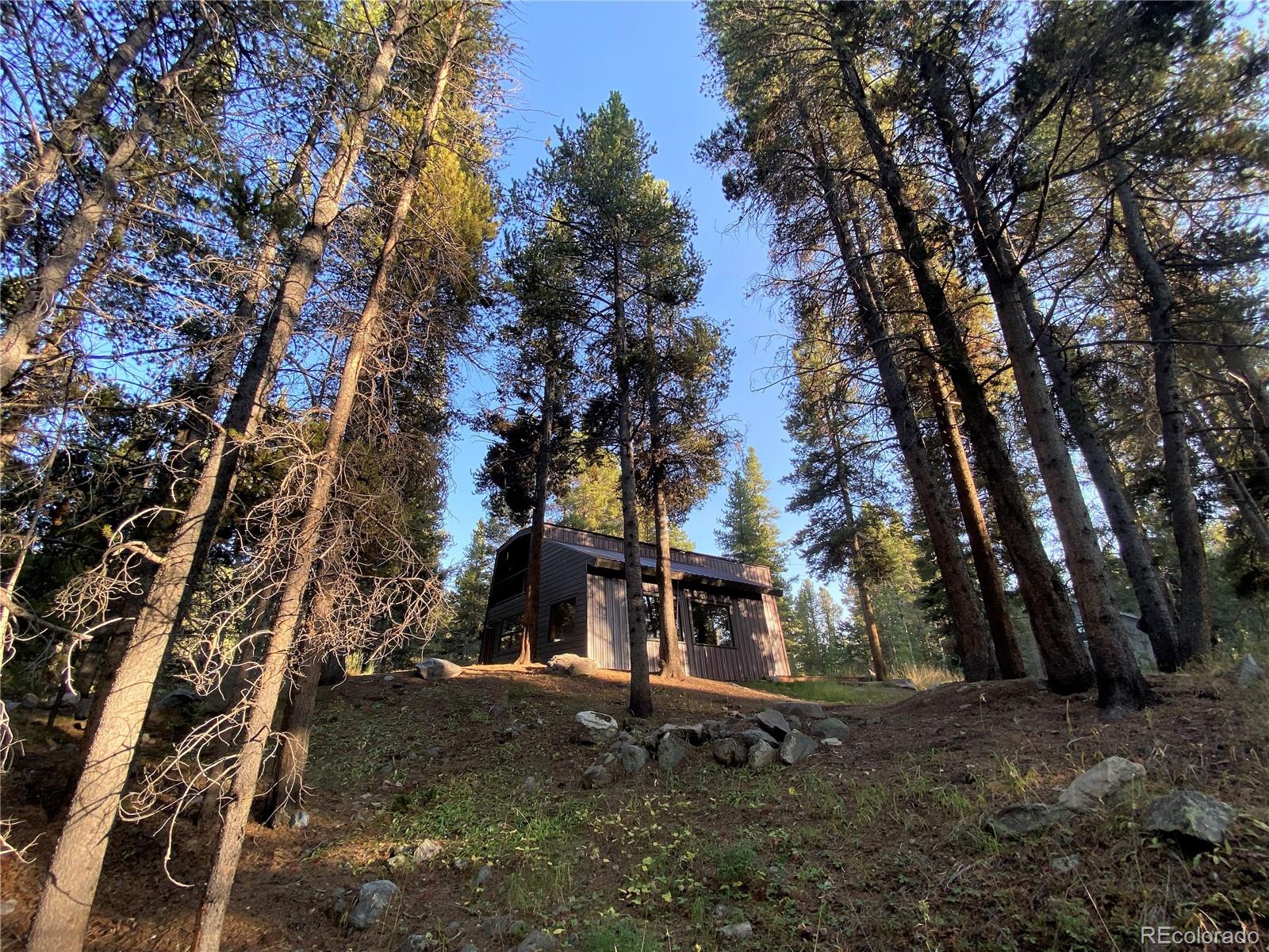 MLS Image #34 for 360  deer crossing drive,leadville, Colorado