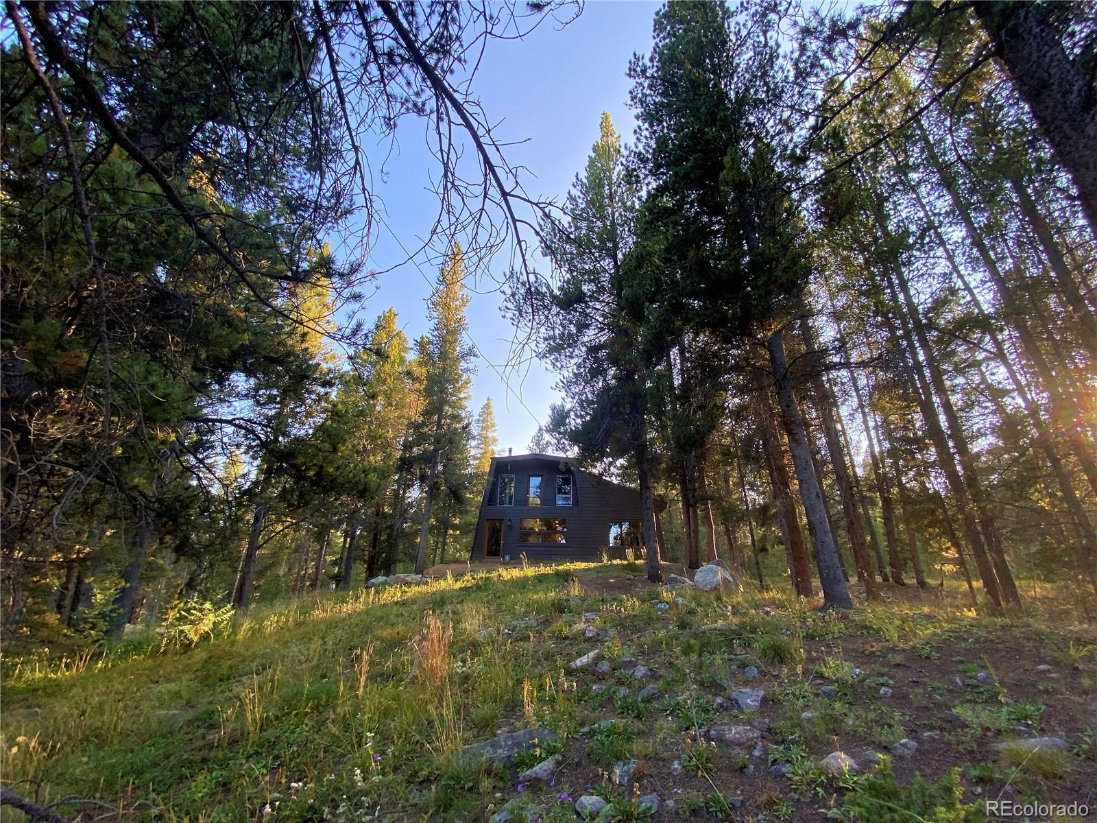 MLS Image #35 for 360  deer crossing drive,leadville, Colorado