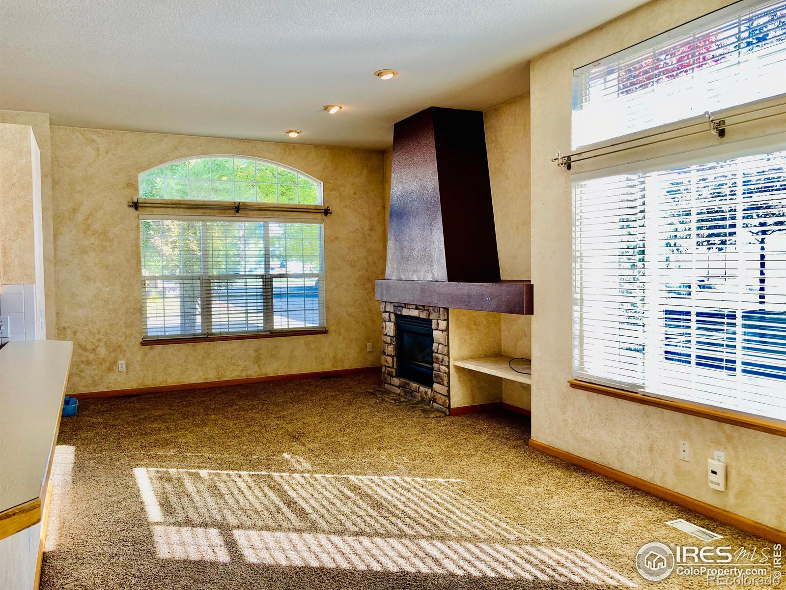 MLS Image #4 for 1533  haymarket street,fort collins, Colorado