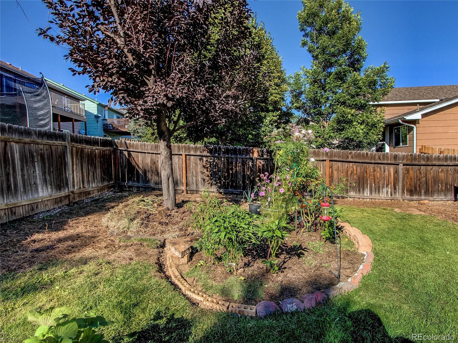 MLS Image #28 for 2320  royal palm drive,colorado springs, Colorado