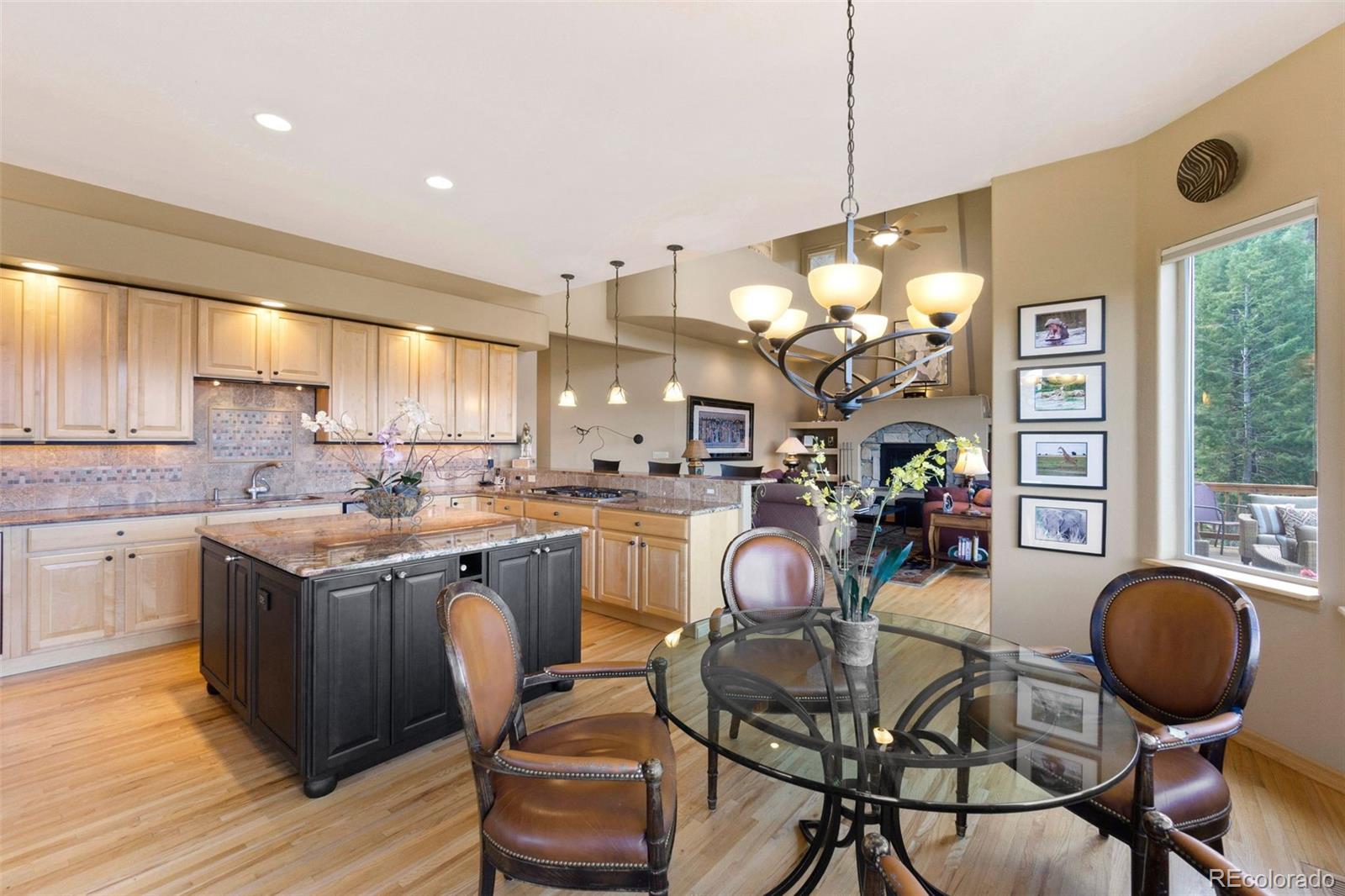 MLS Image #15 for 6847  berry bush lane,evergreen, Colorado