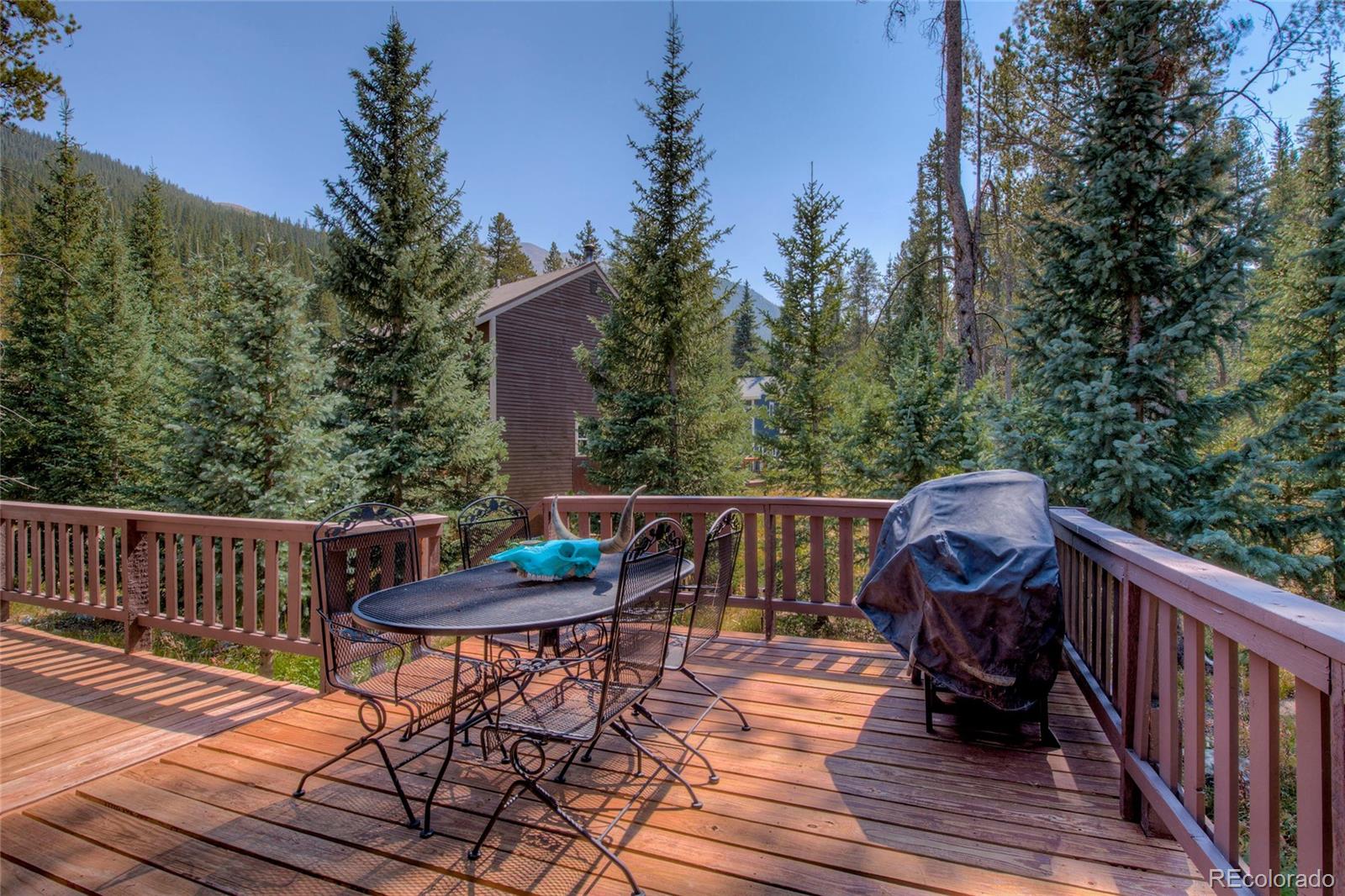 MLS Image #25 for 68  starlit lane,blue river, Colorado