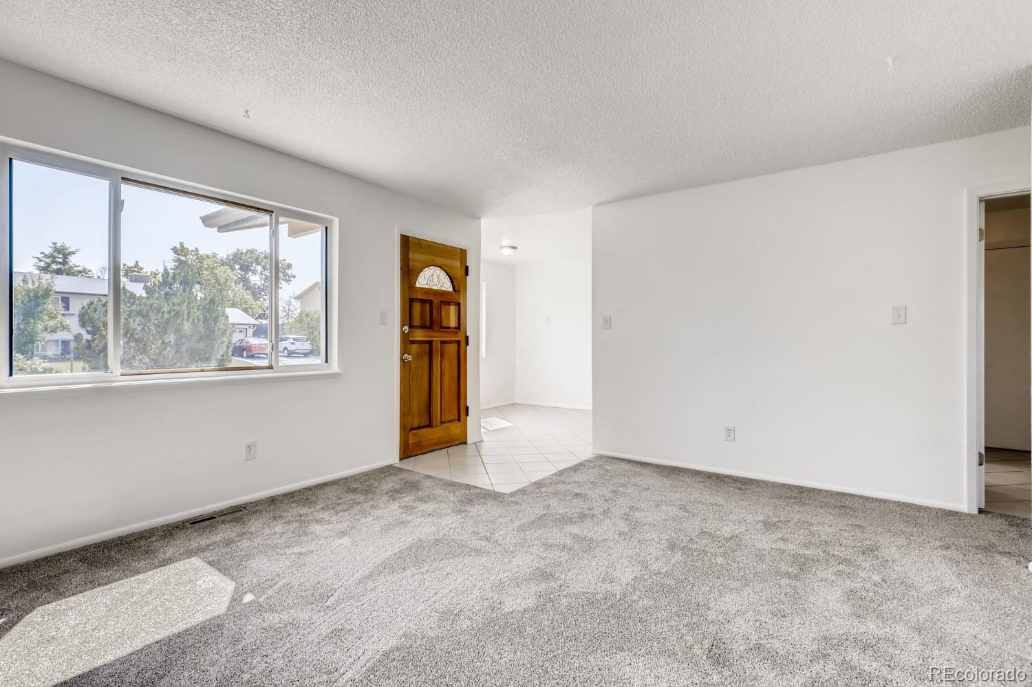 MLS Image #4 for 1365  explorador calle ,denver, Colorado