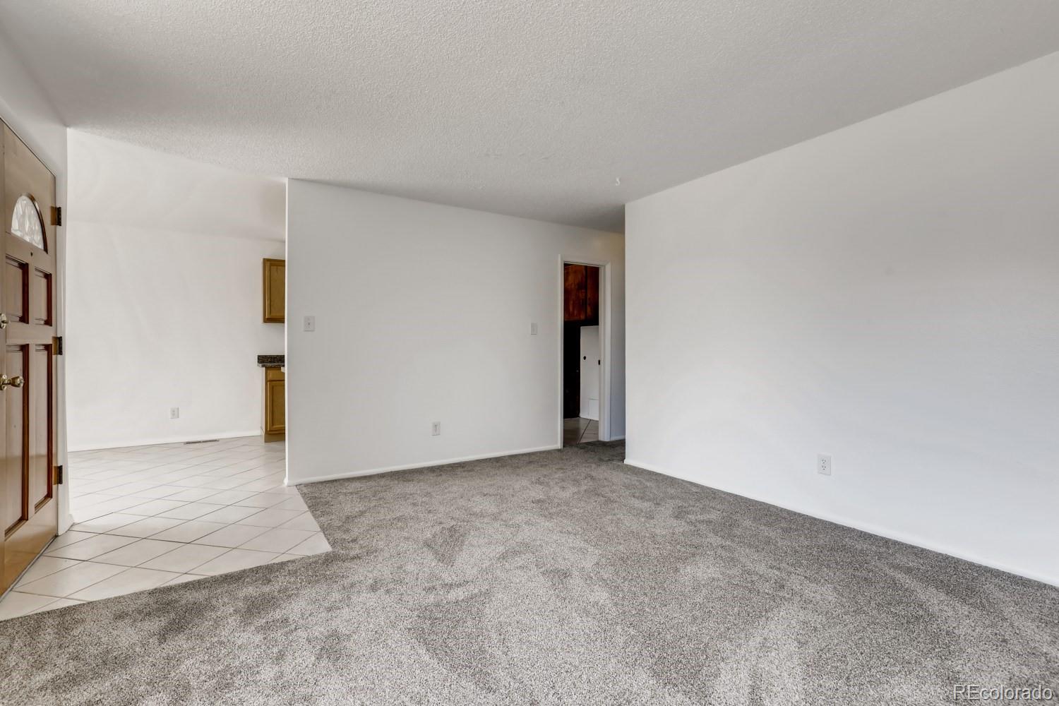 MLS Image #5 for 1365  explorador calle ,denver, Colorado