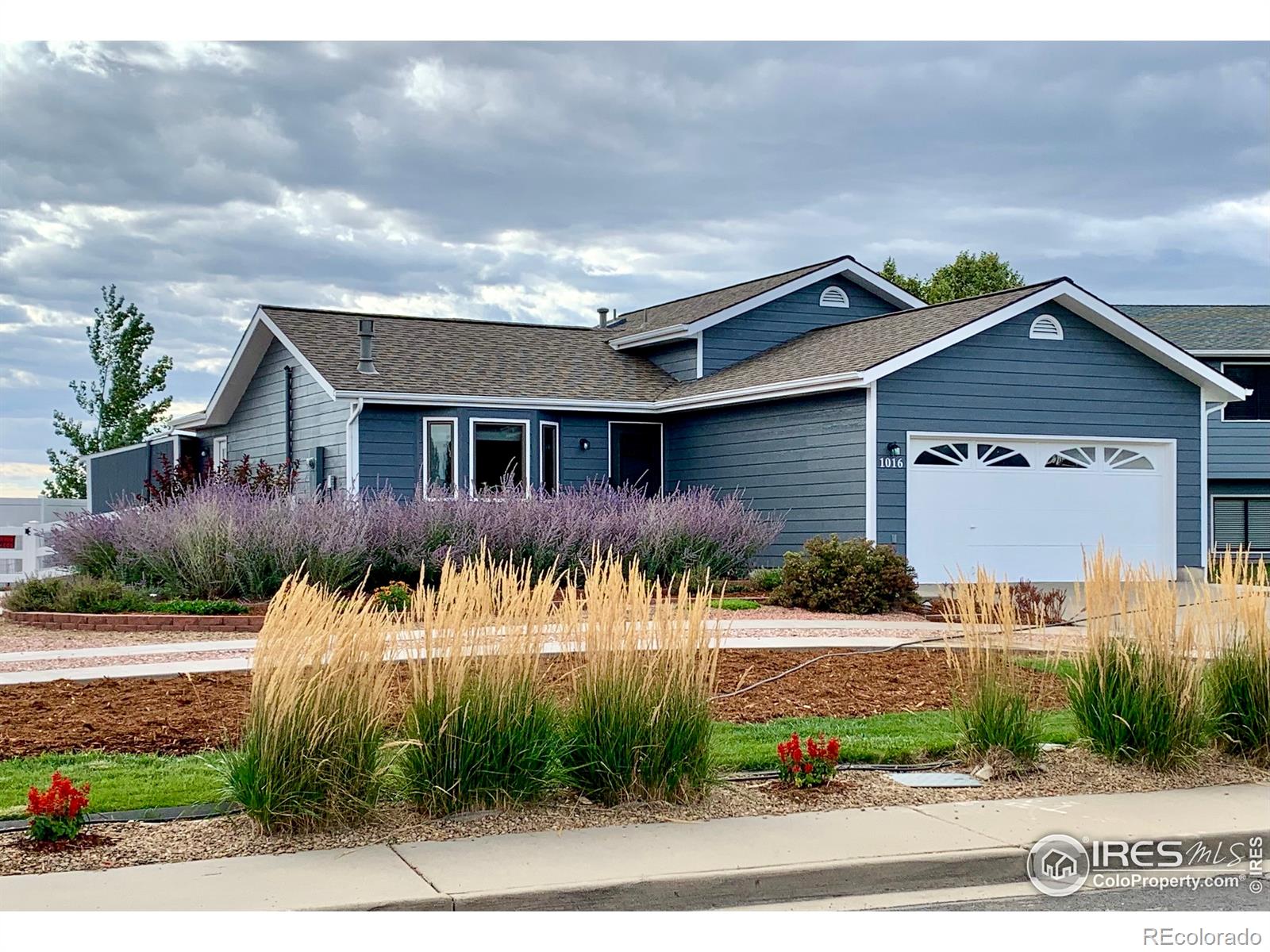 MLS Image #0 for 1016  23rd street,loveland, Colorado