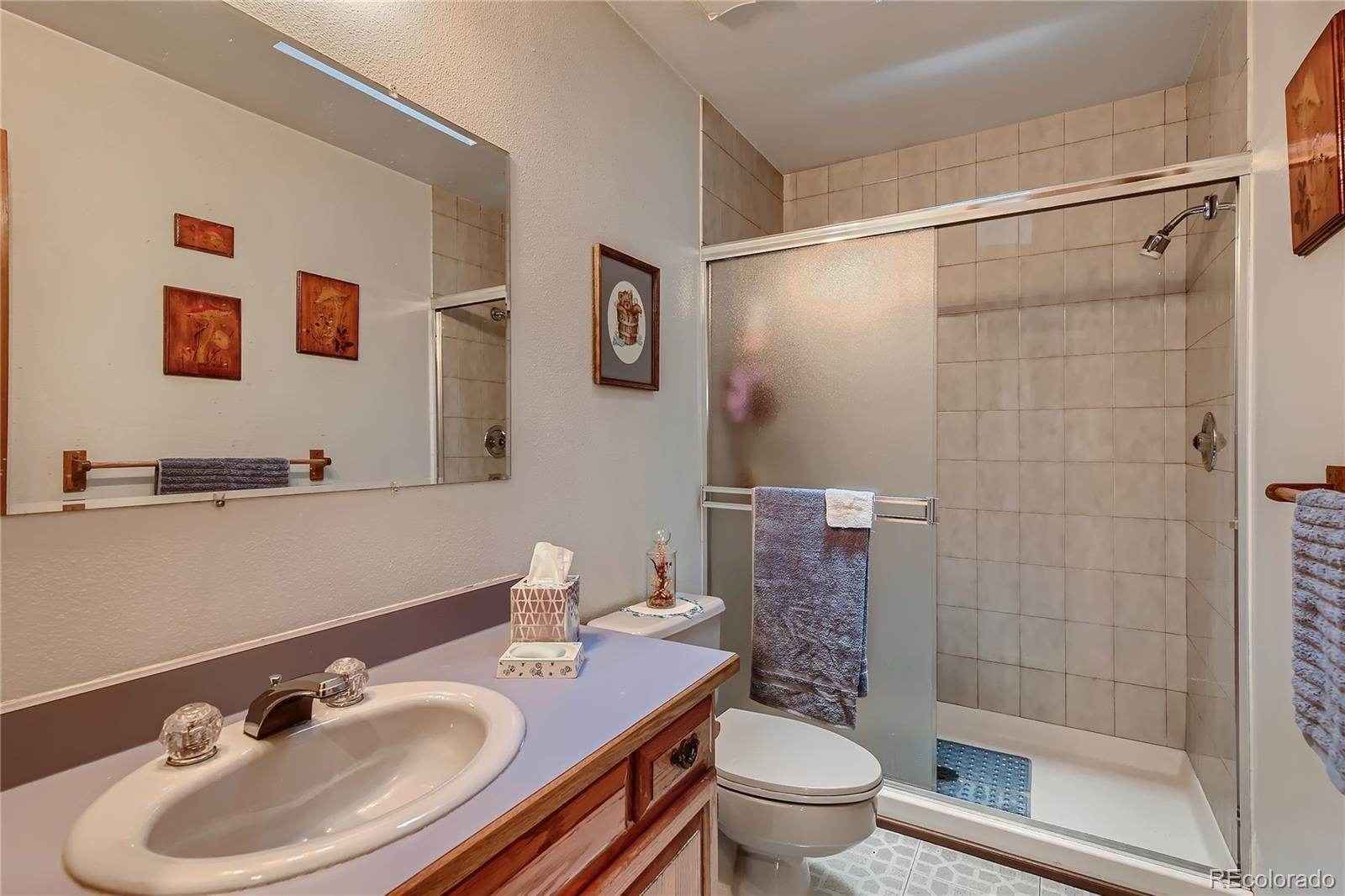 MLS Image #10 for 6731  brook forest drive,evergreen, Colorado