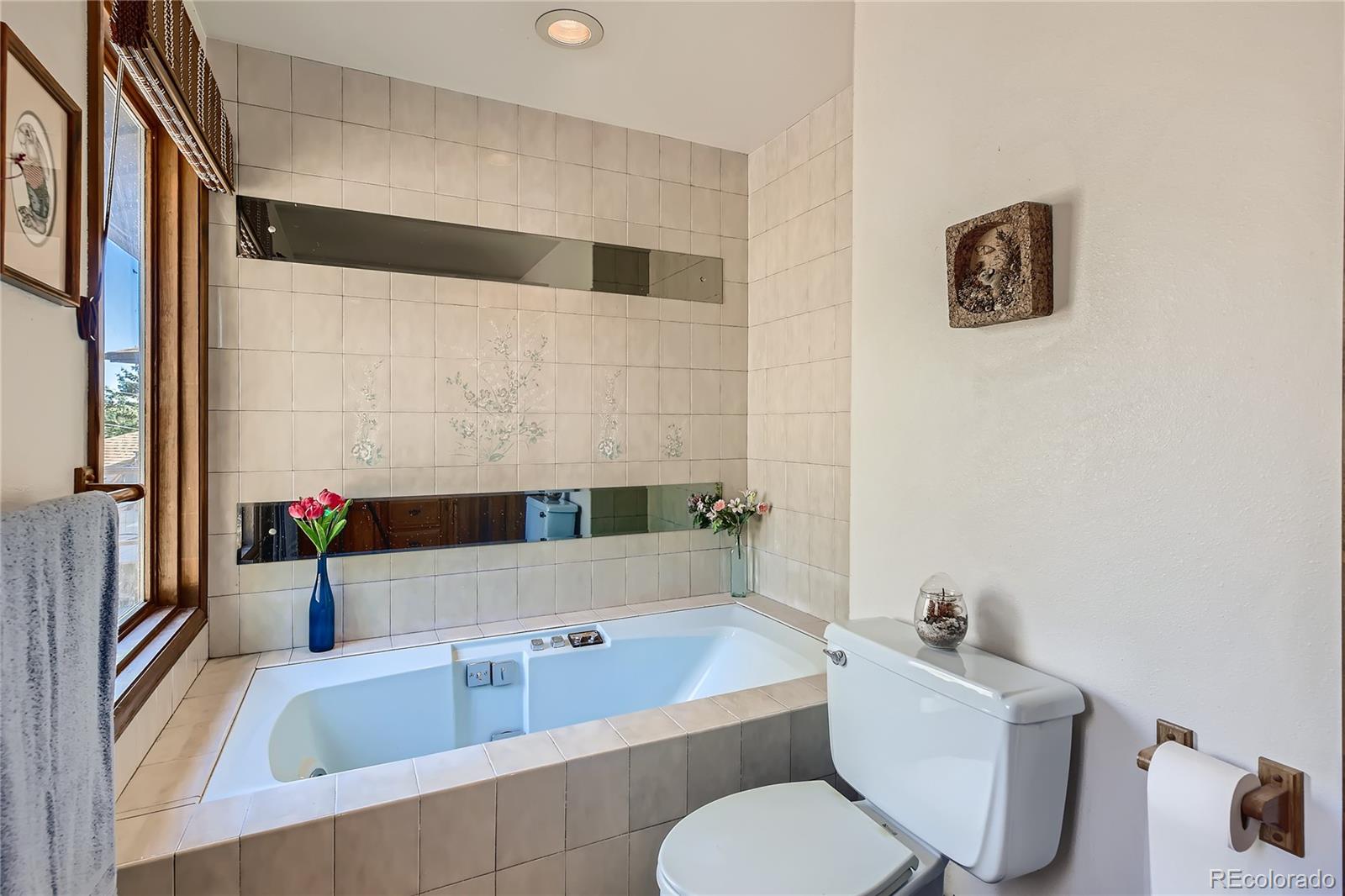 MLS Image #8 for 6731  brook forest drive,evergreen, Colorado