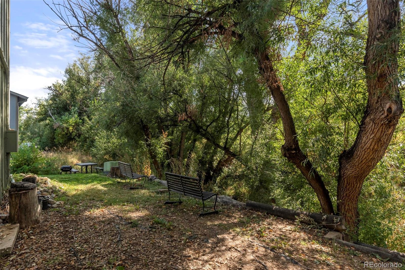 MLS Image #5 for 1615  cottonwood drive,louisville, Colorado