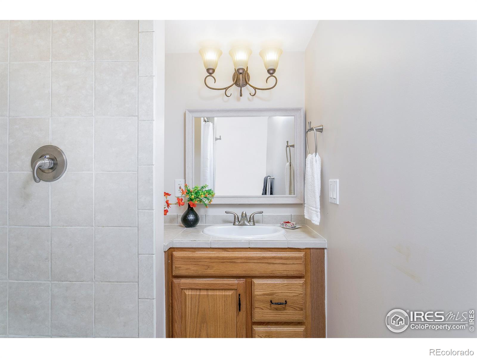 MLS Image #23 for 705  paschal drive,lafayette, Colorado