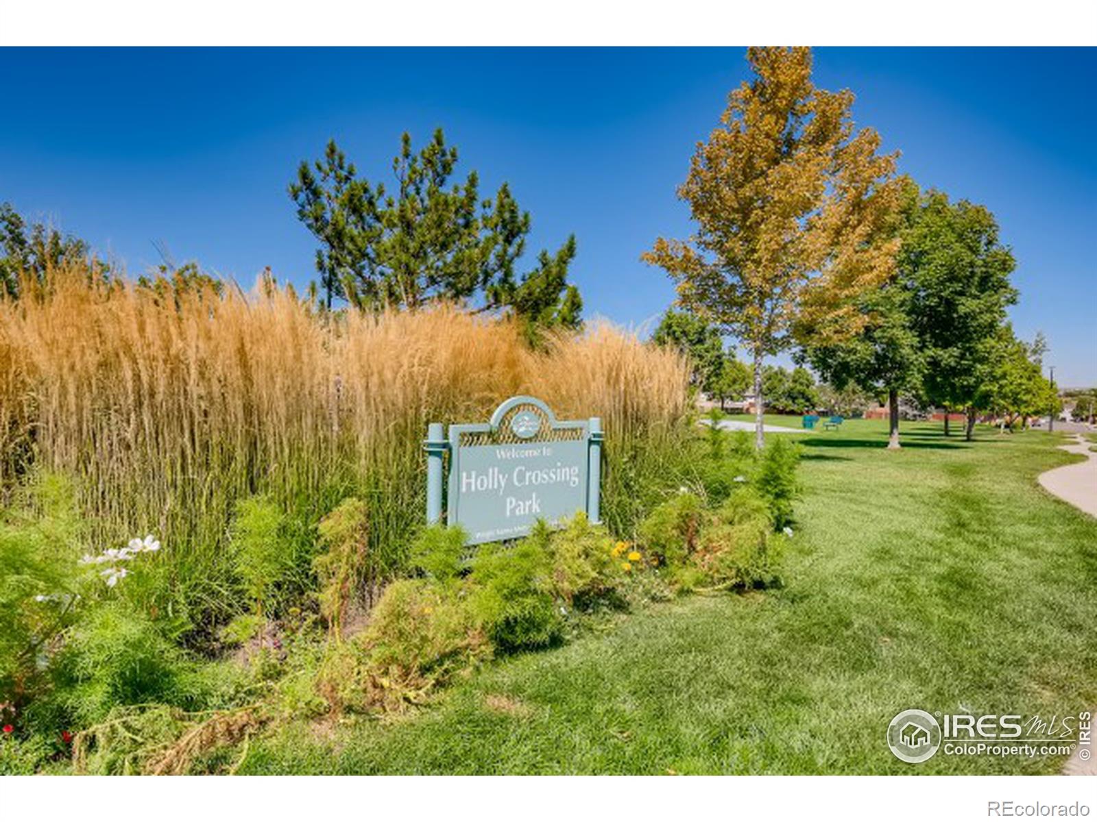 MLS Image #30 for 12142  magnolia way,brighton, Colorado