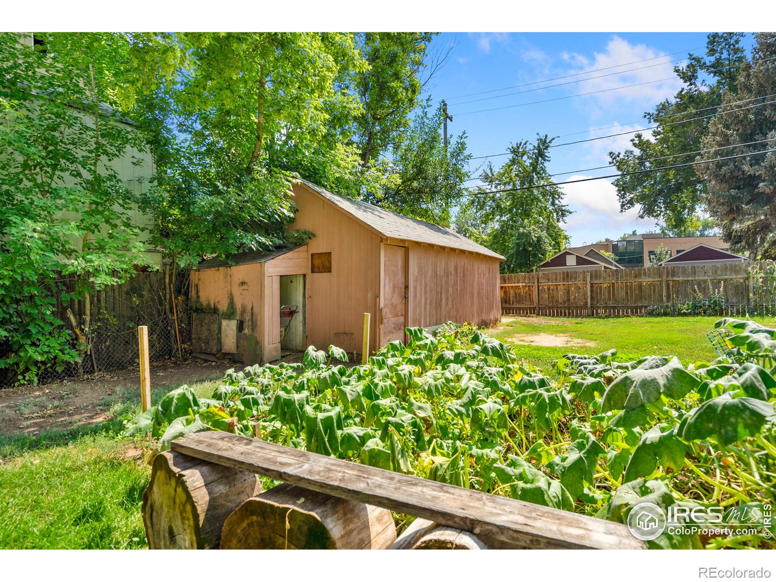 MLS Image #16 for 806 e 5th street,loveland, Colorado